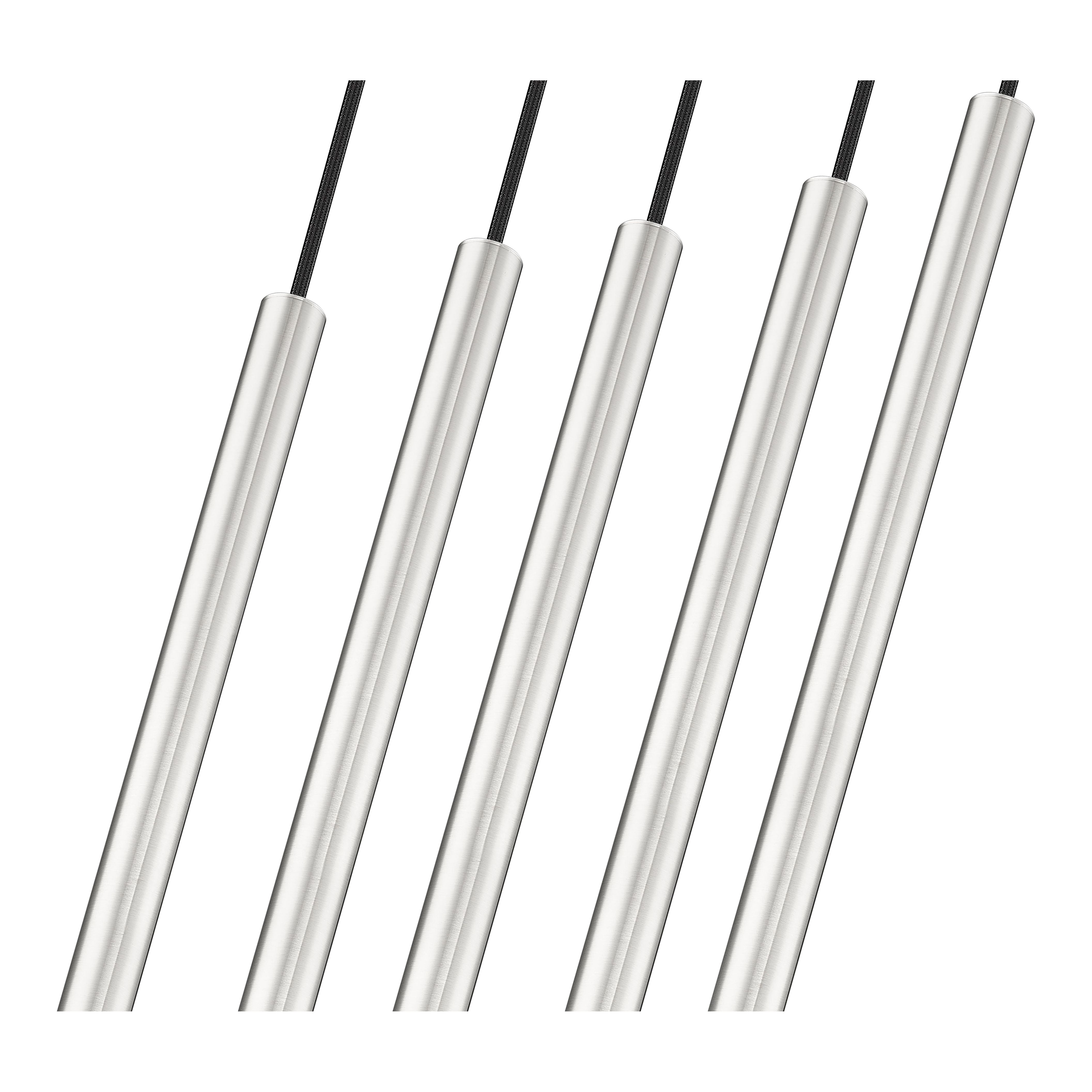 919MP24-5L-BN-LED
