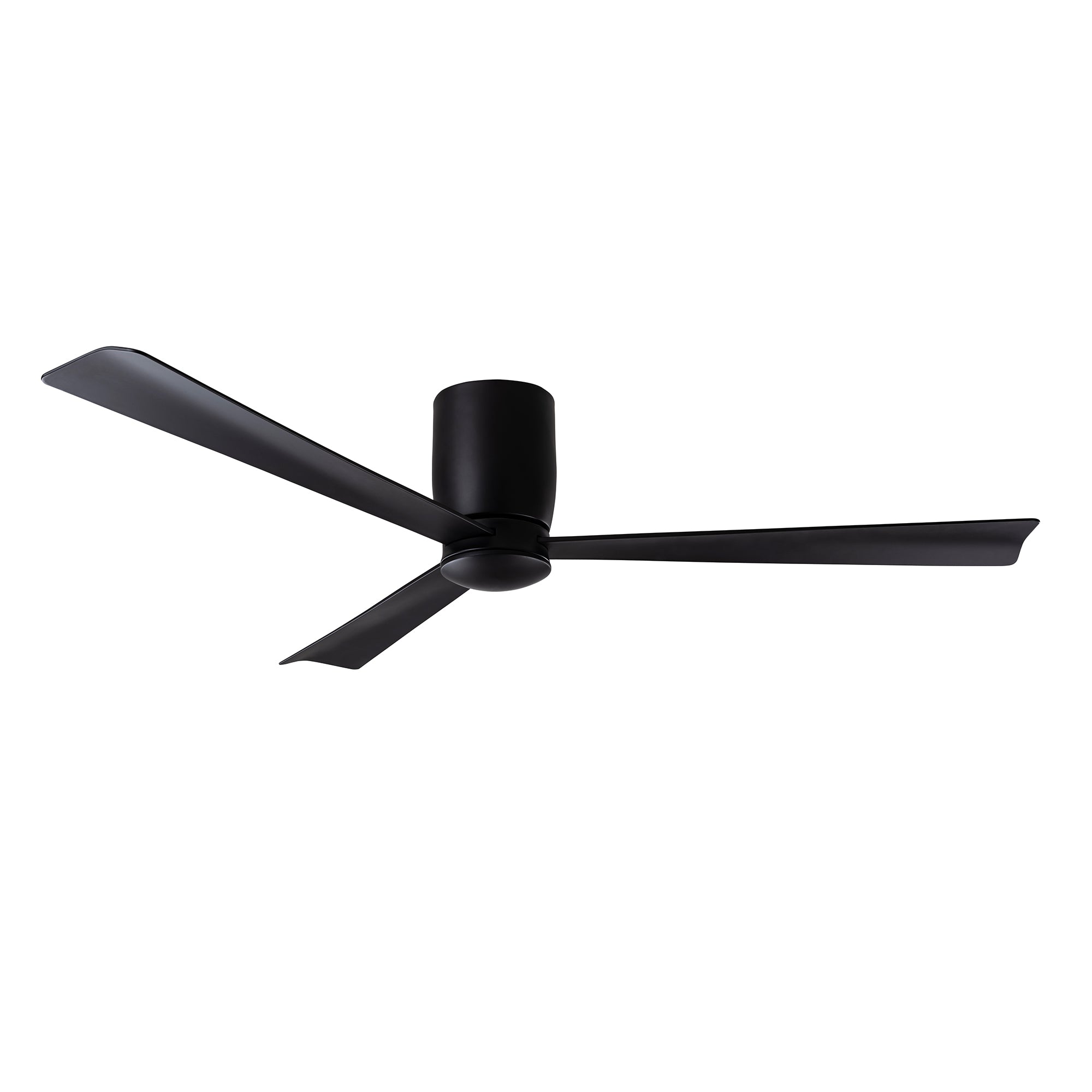 AC31244-BLK