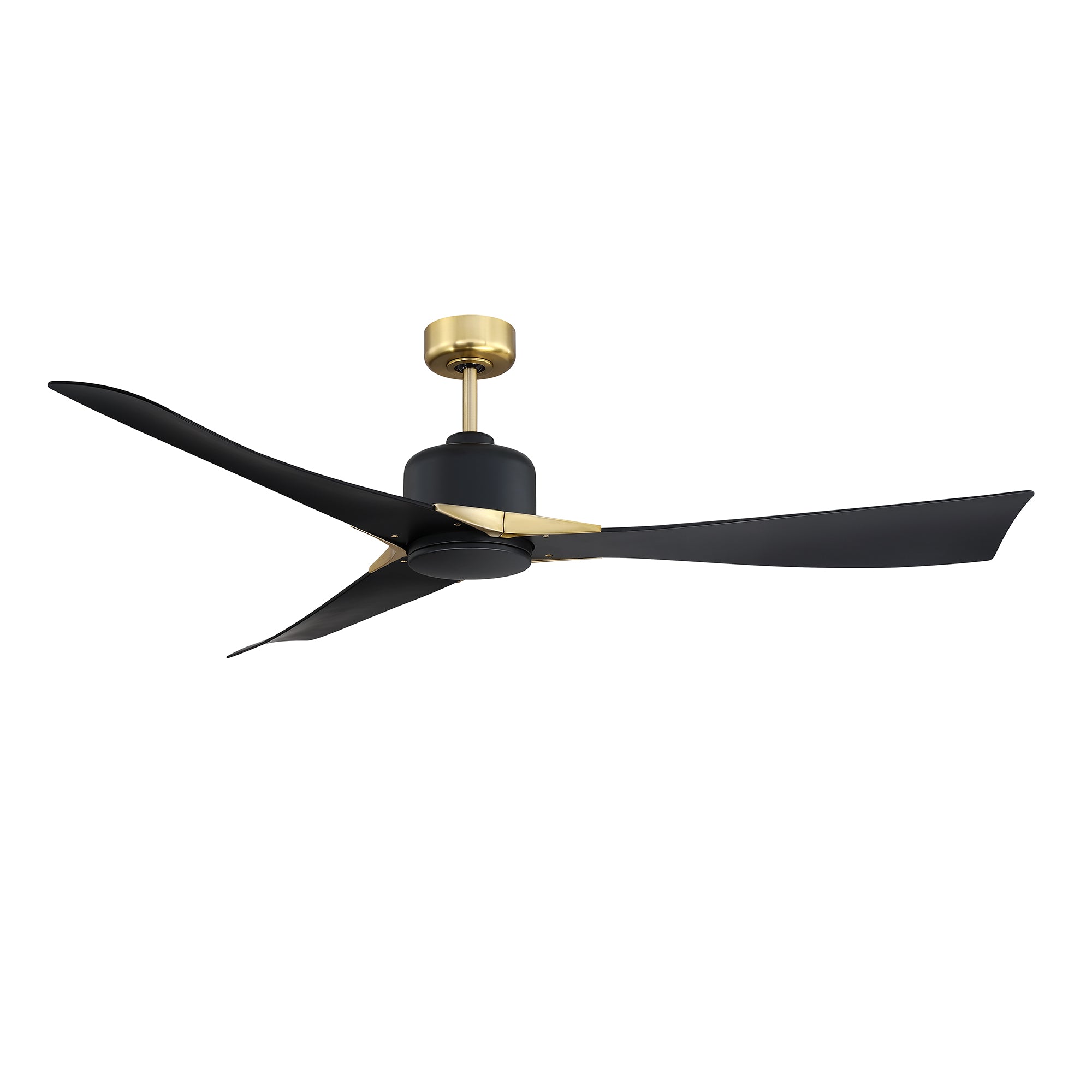AC31462-BLK/BRS