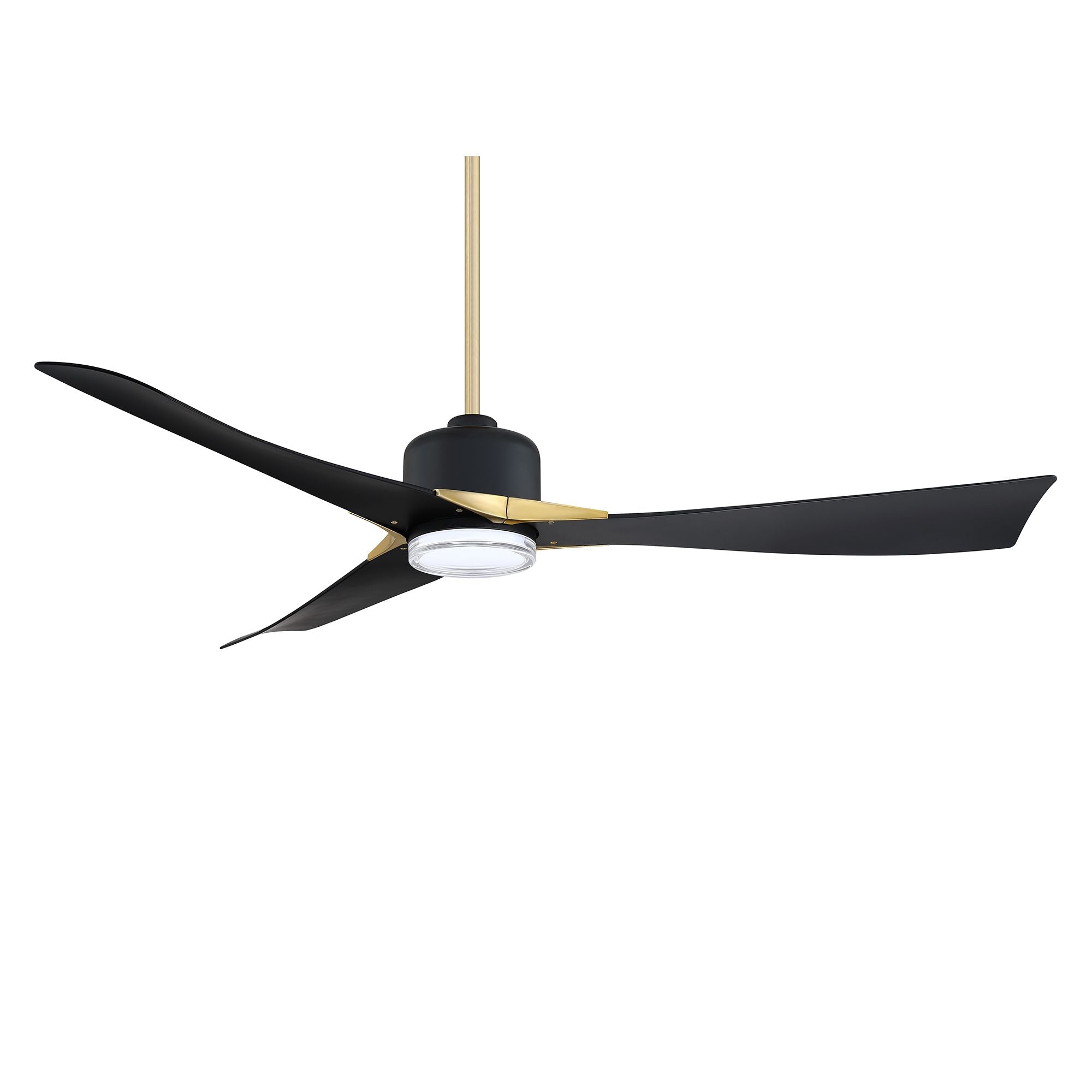 AC31462-BLK/BRS