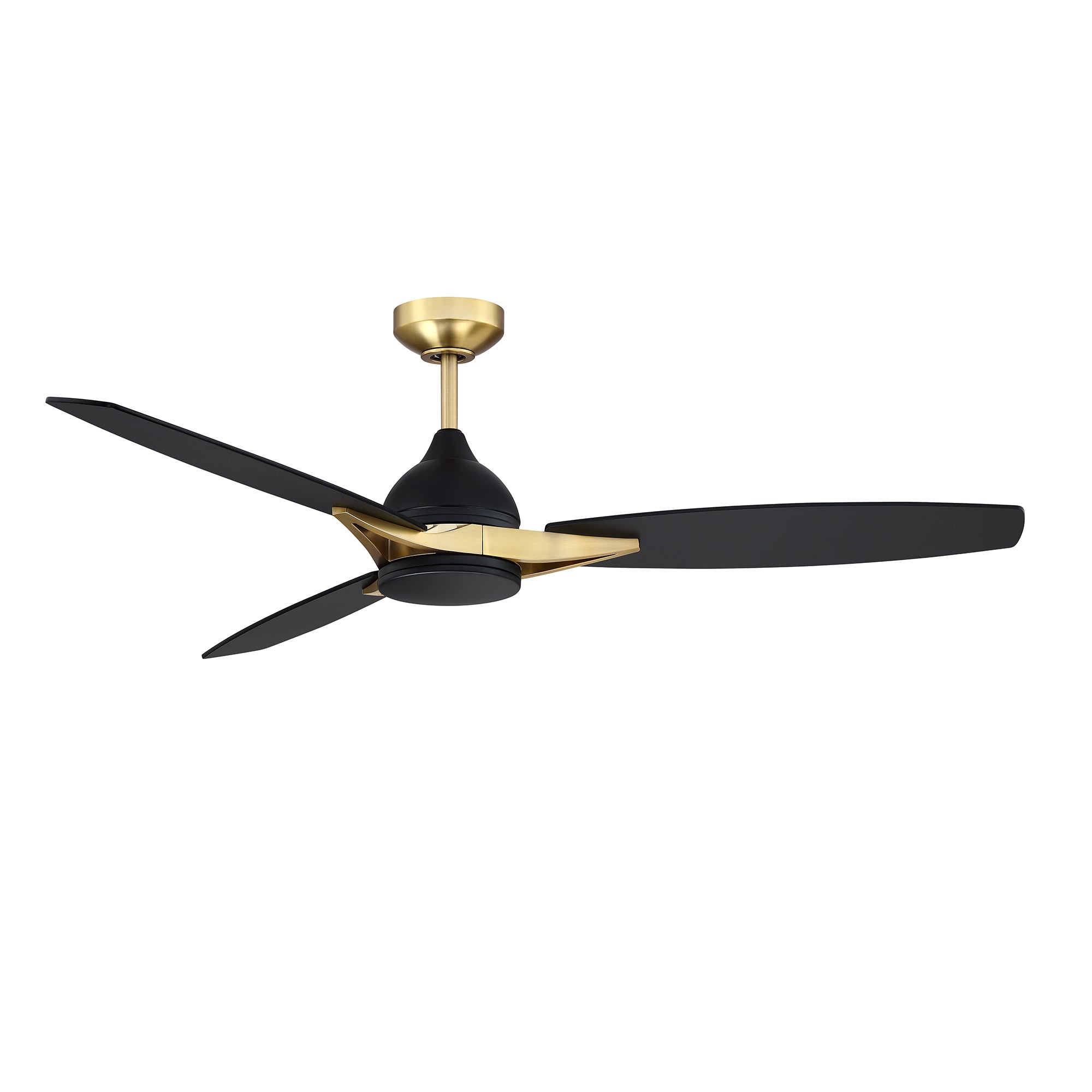 AC31656-BLK/BRS