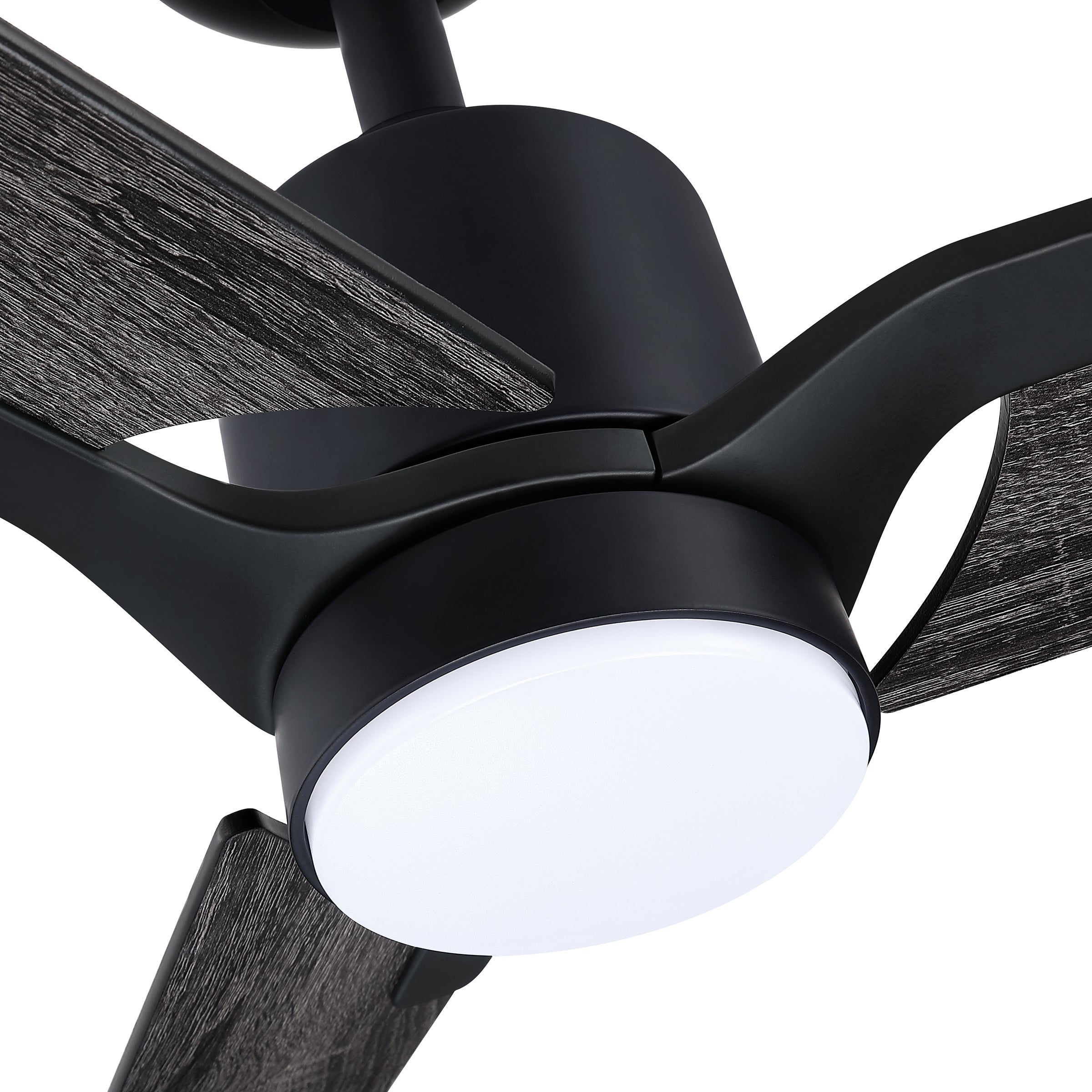 AC40152-BLK/DSB