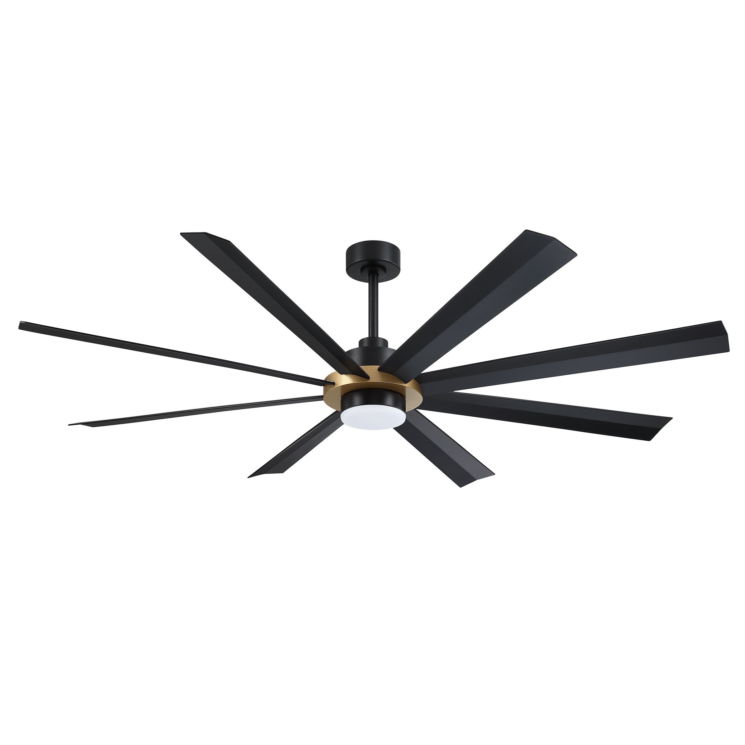AC40572-BLK/OCB