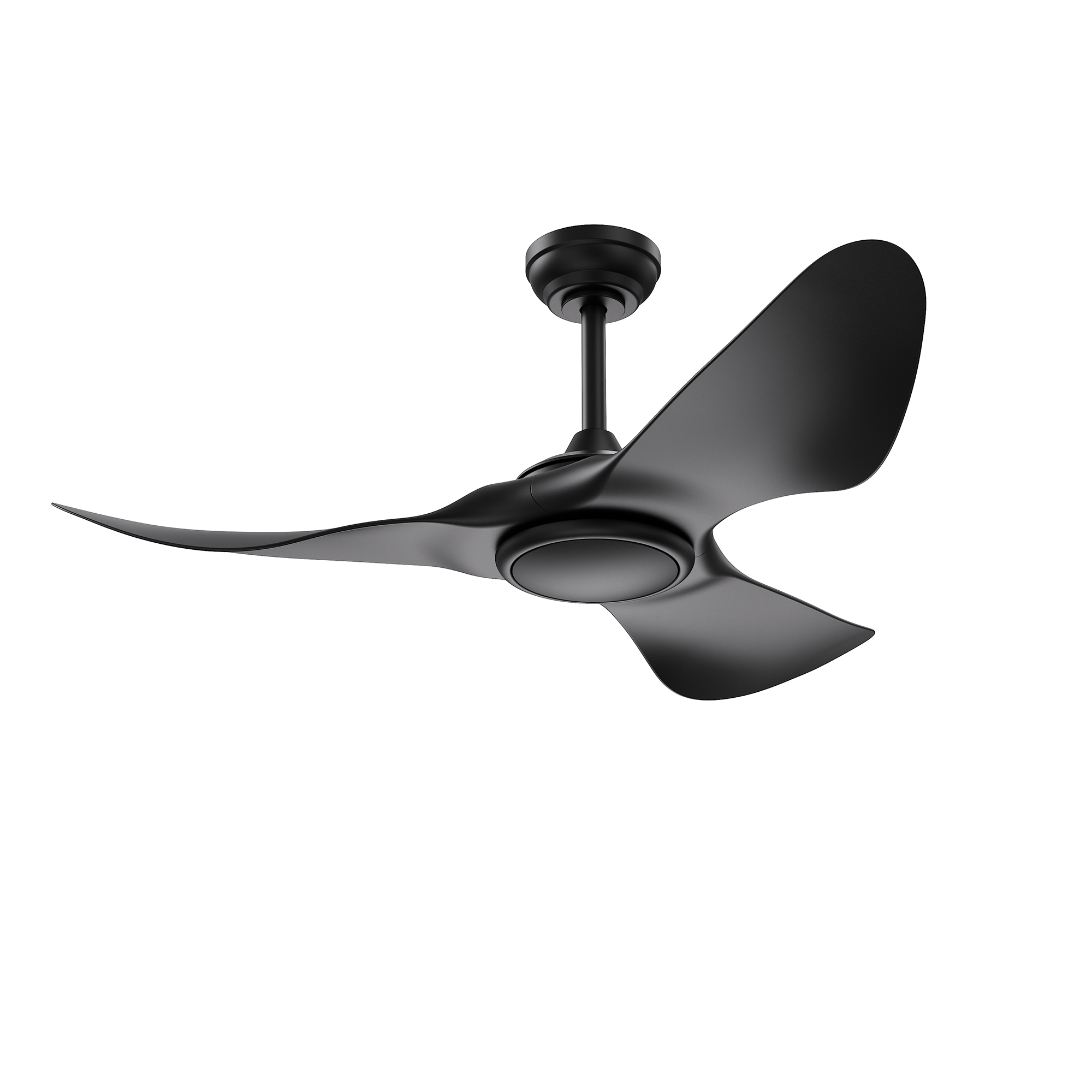 AC40952-BLK