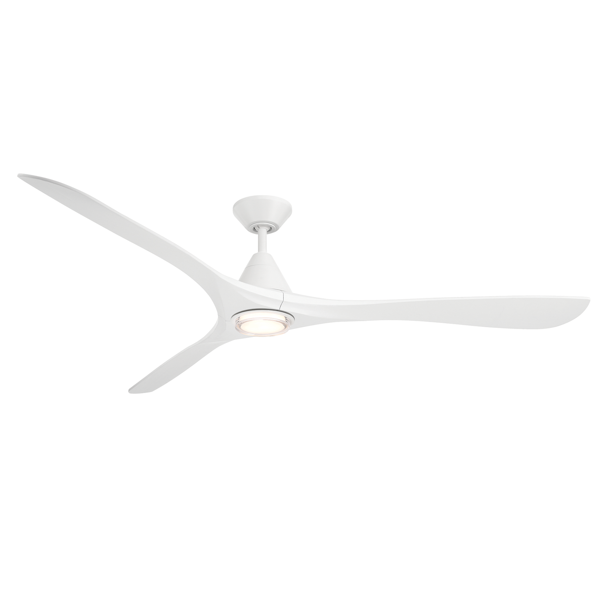FR-D2504-72L-MW