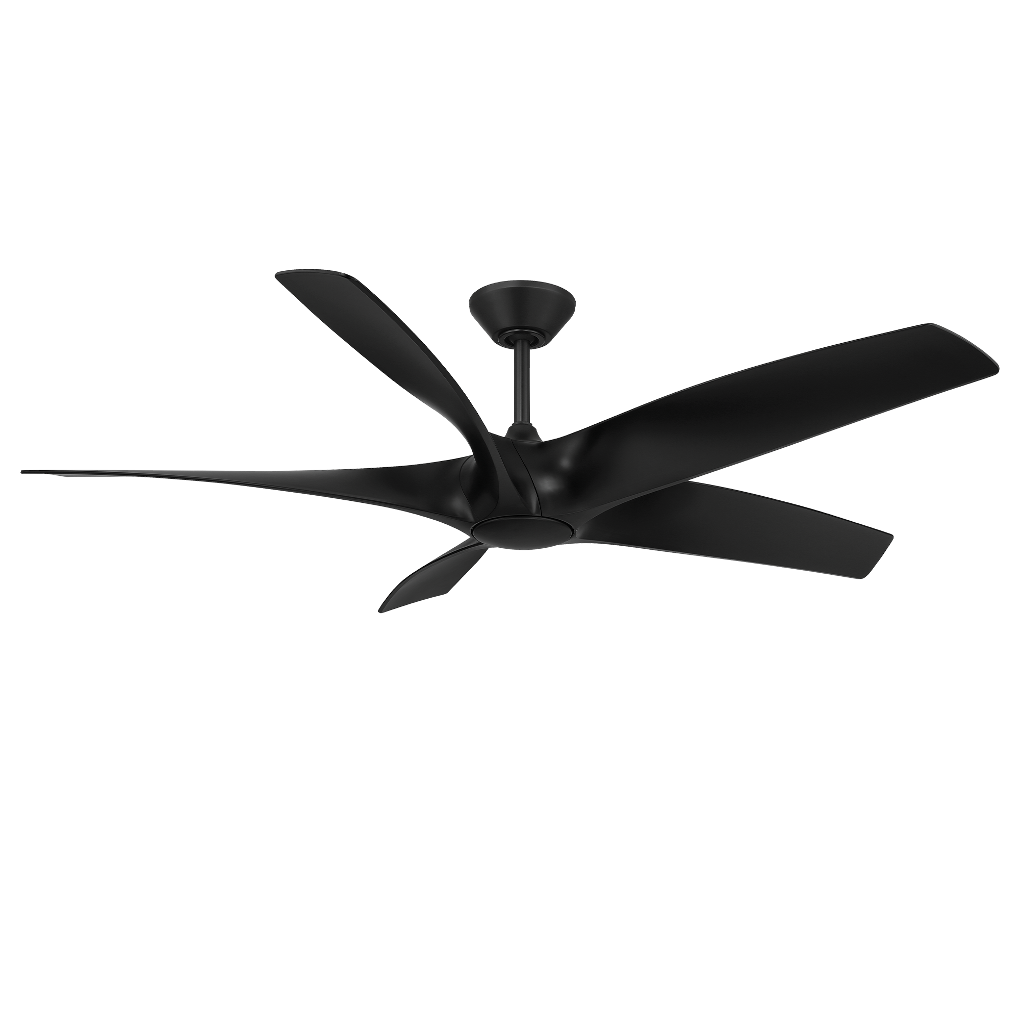 FR-W2401-62L-MB