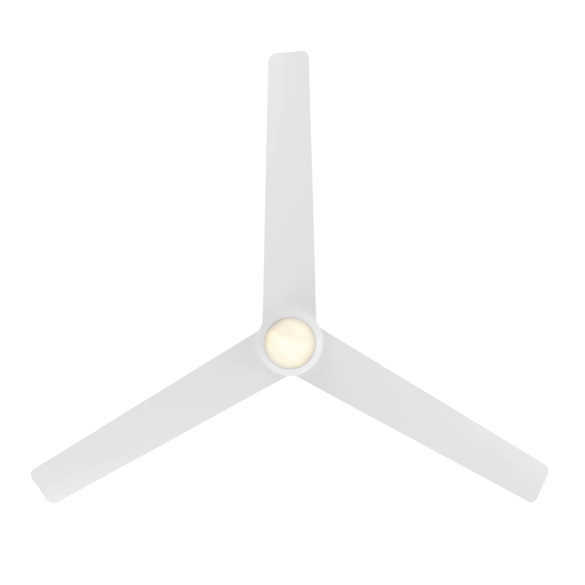 FR-W2503-54L-MW