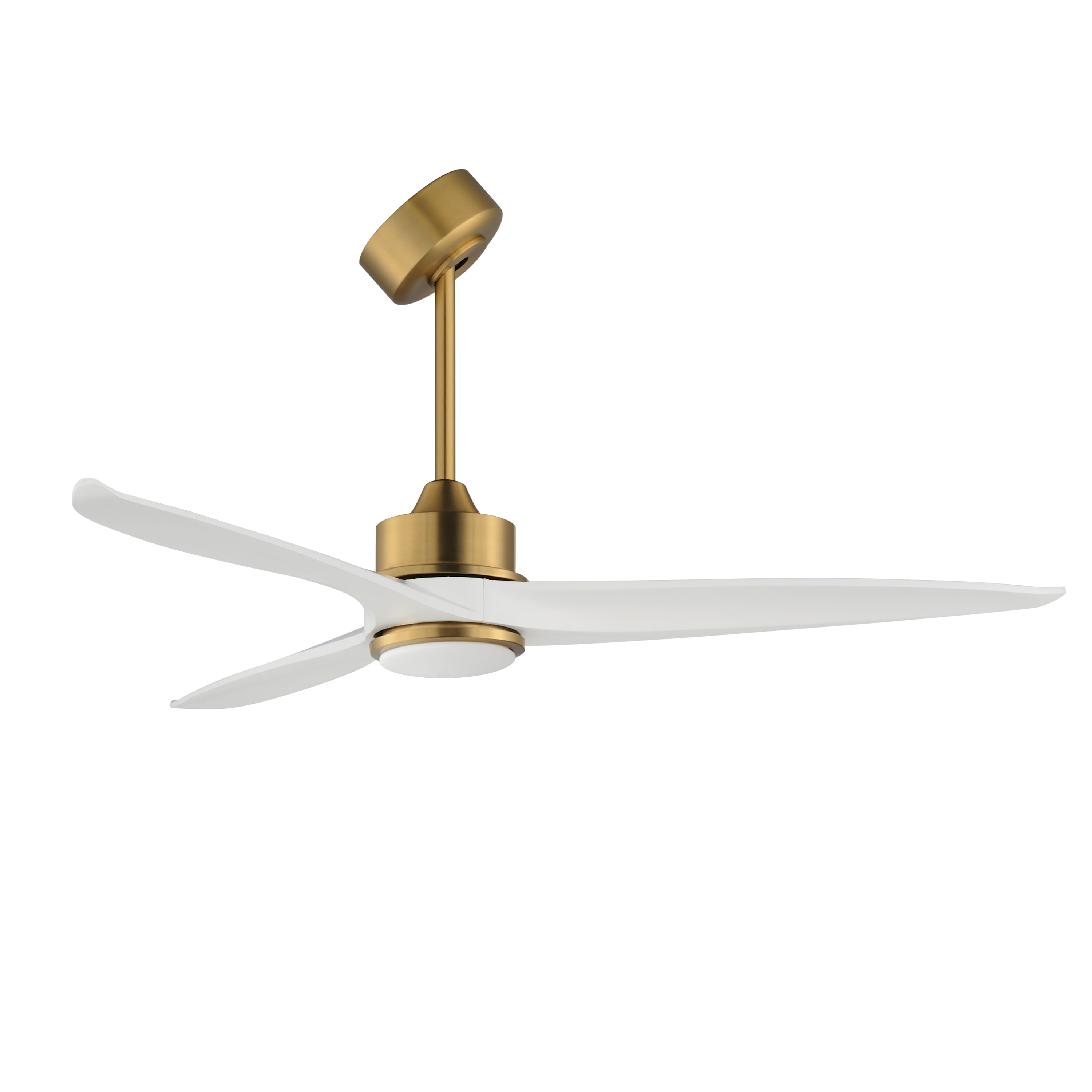 Three-blade ceiling fan with white blades, natural aged brass motor and light kit on a white background