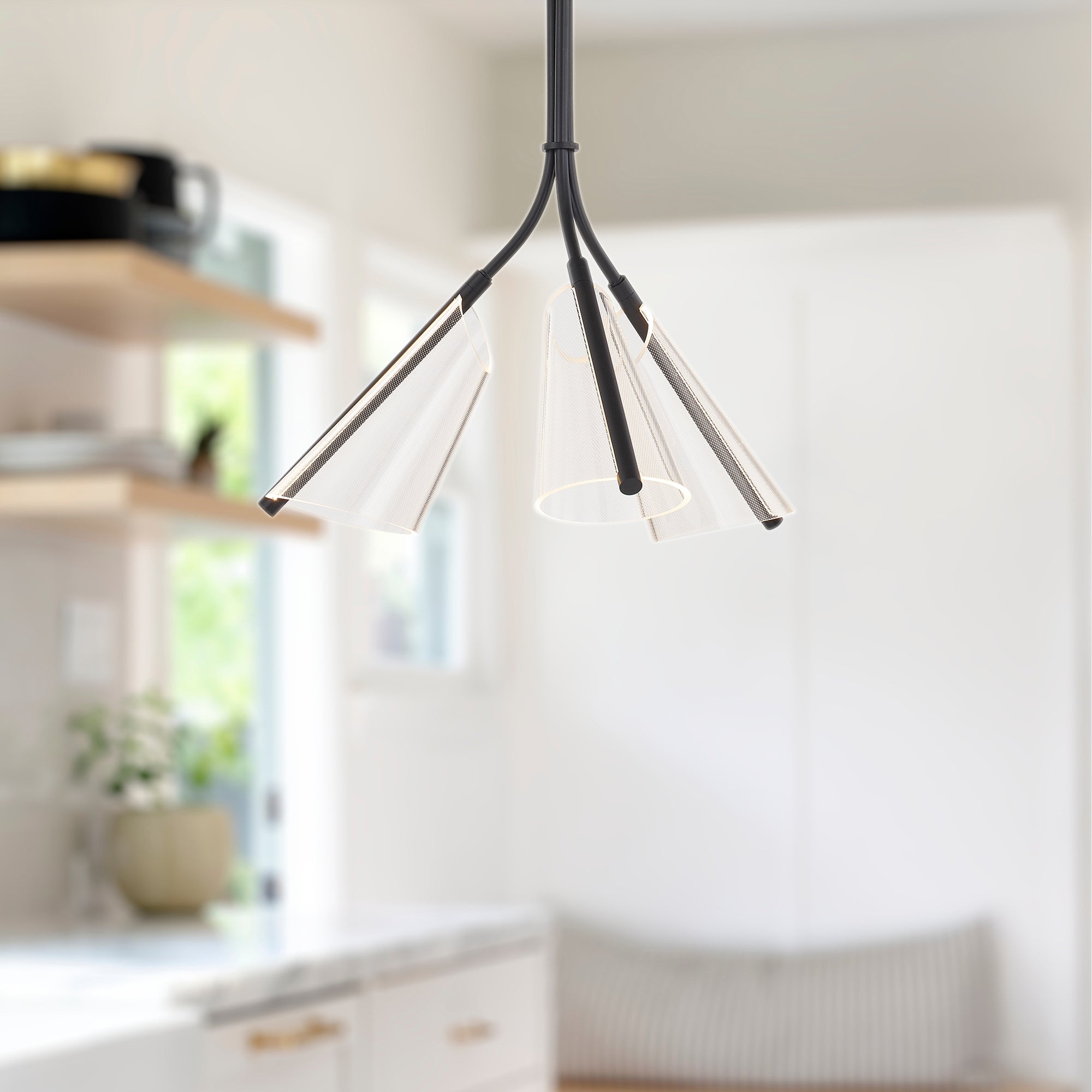 PD62622-BK/LG