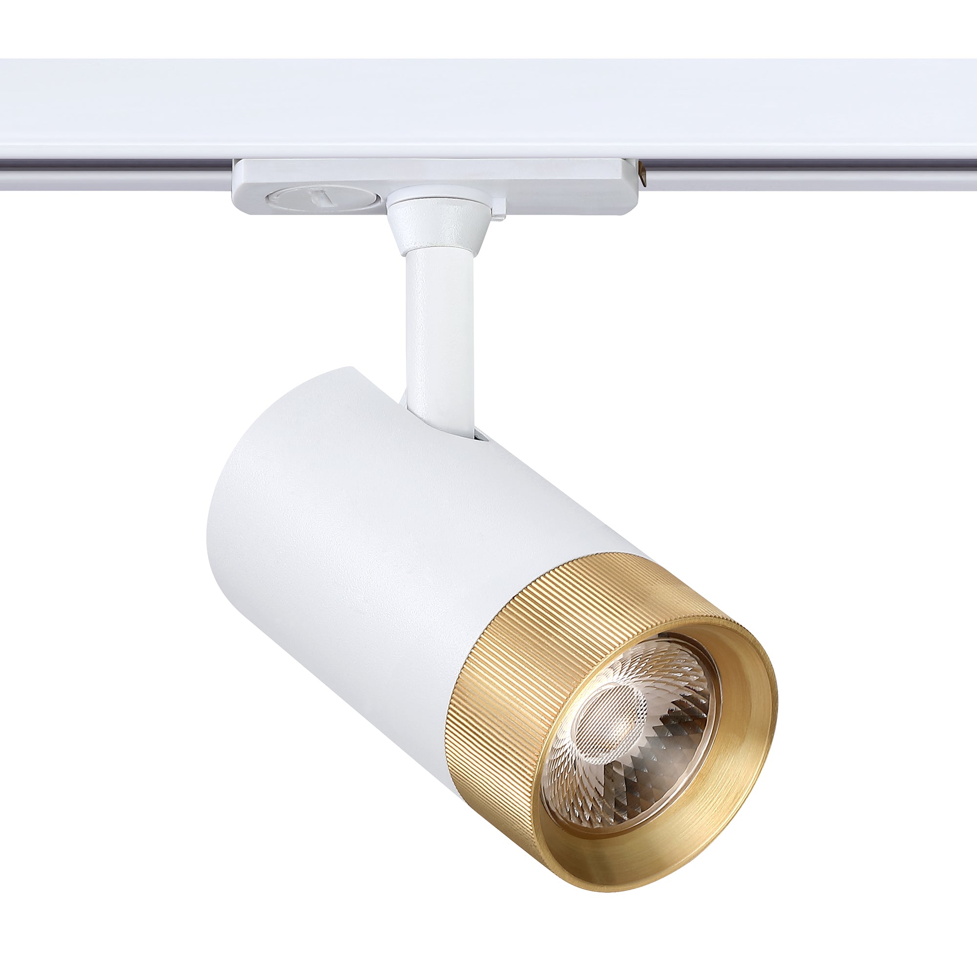 TLED-61-MWH