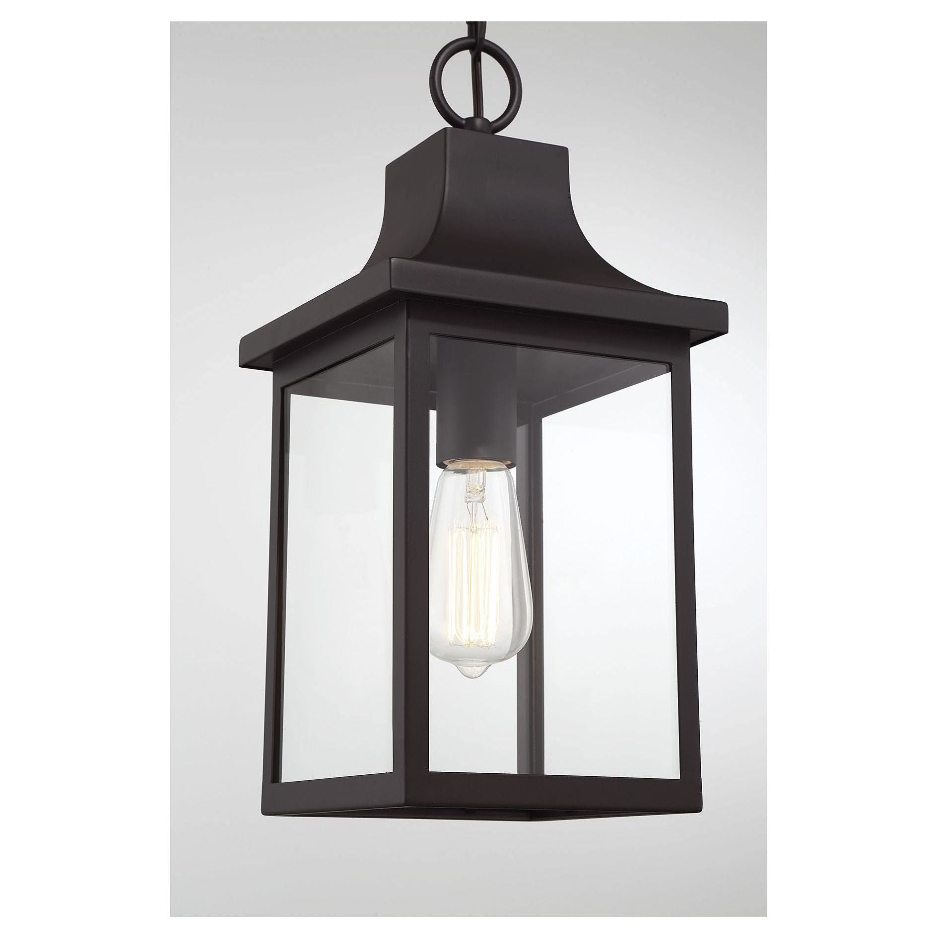 Meridian - 1-Light Outdoor Hanging Lantern - Lights Canada