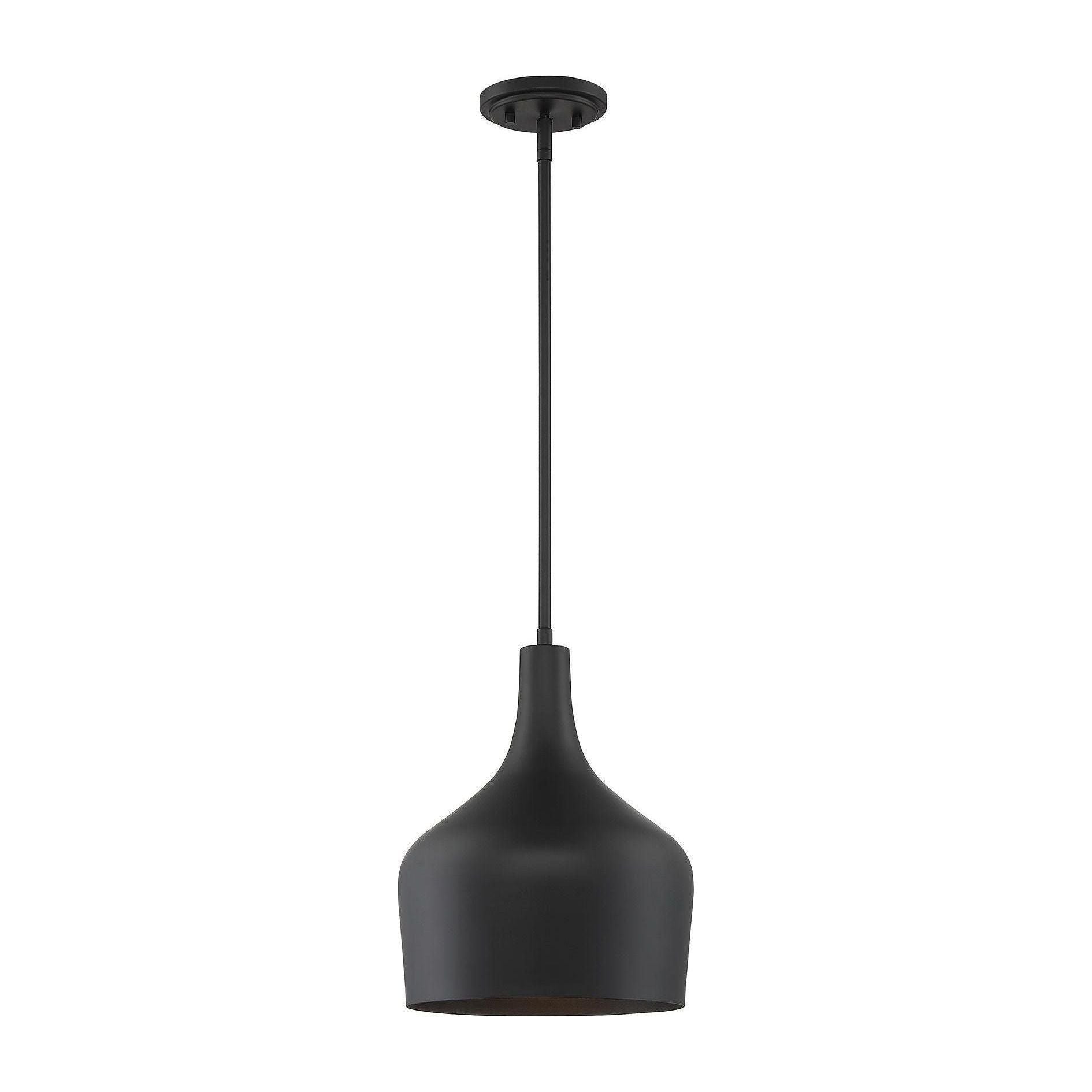Meridian - 1-Light Pendant - Lights Canada