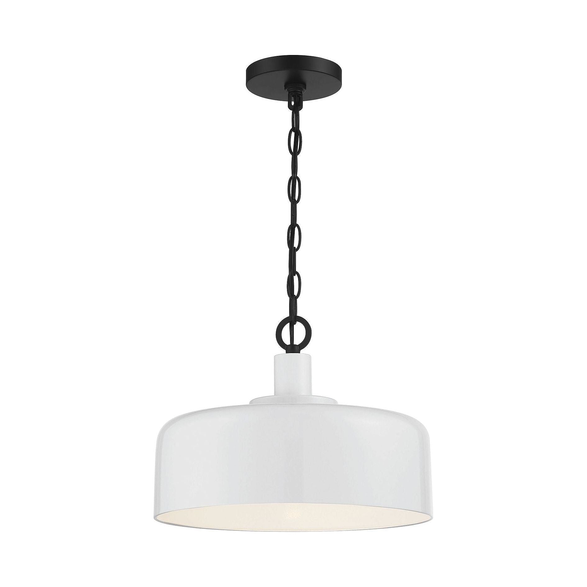 Meridian - 1-Light Pendant - Lights Canada