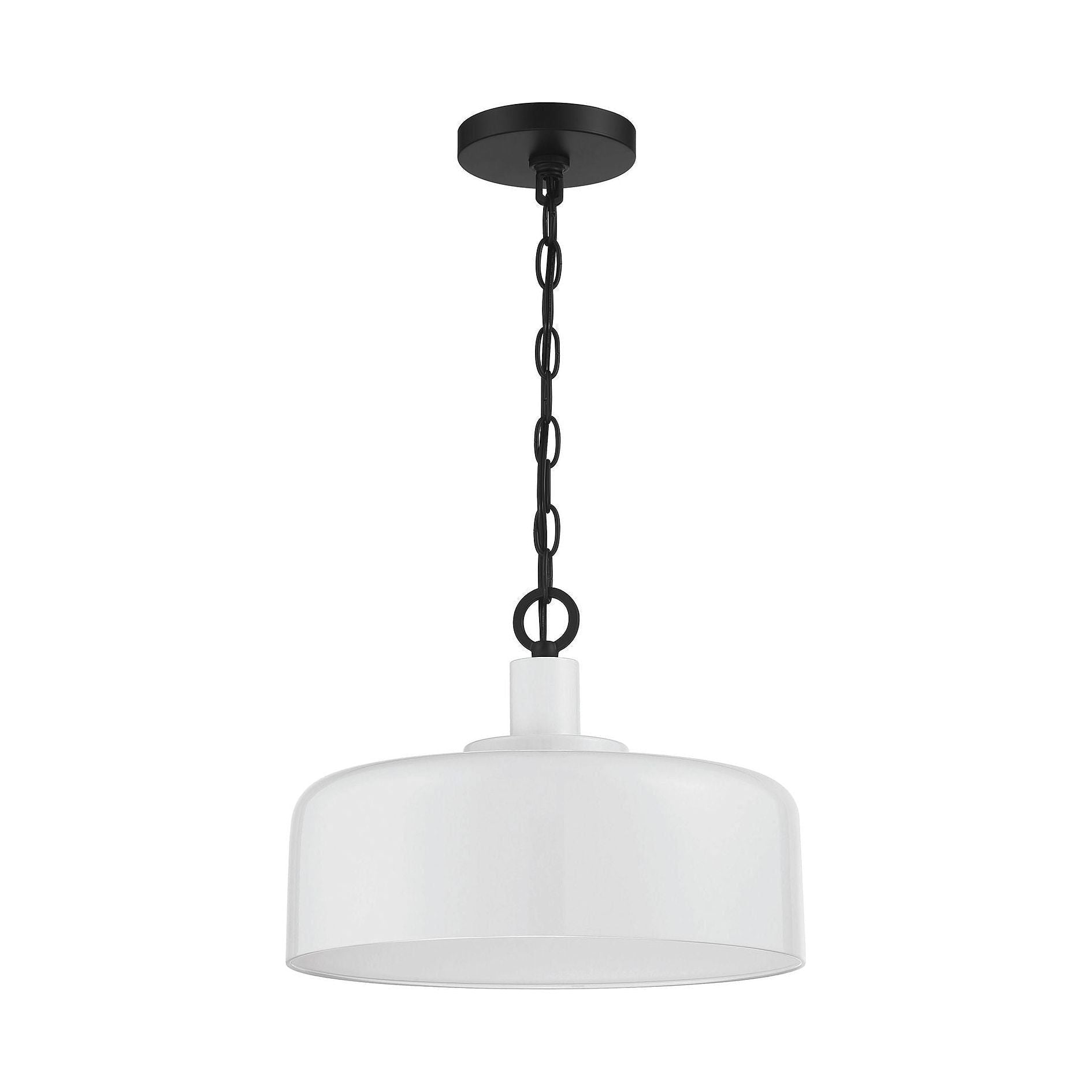 Meridian - 1-Light Pendant - Lights Canada