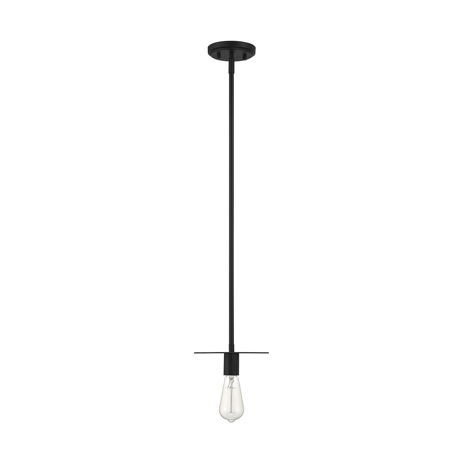 Meridian - 1-Light Mini Pendant - Lights Canada