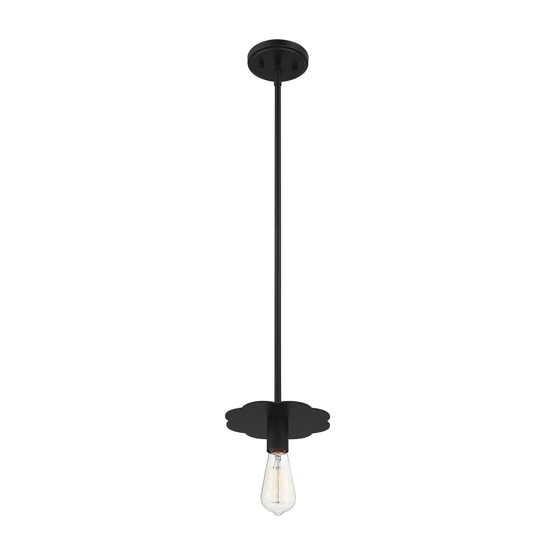 Meridian - 1-Light Mini Pendant - Lights Canada