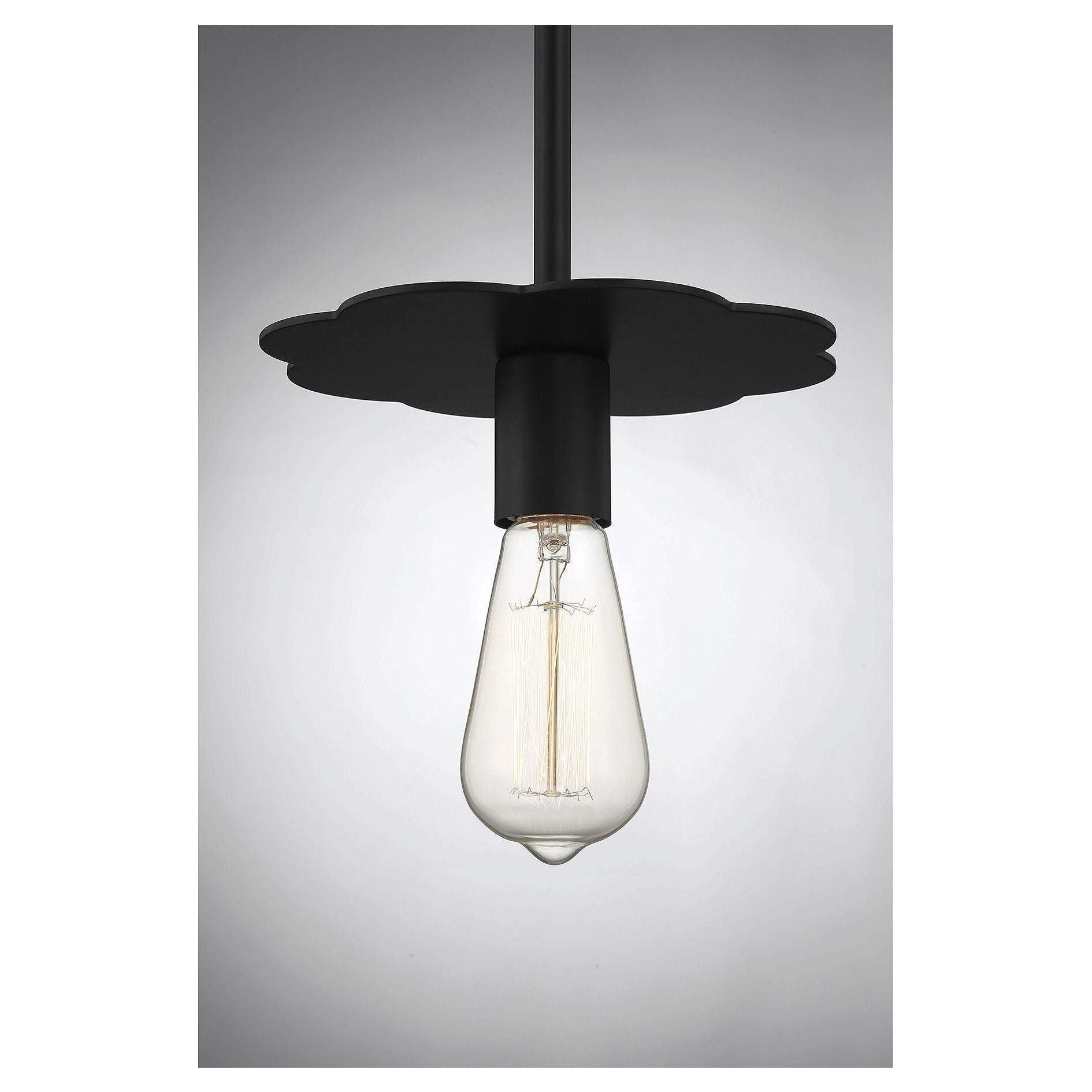 Meridian - 1-Light Mini Pendant - Lights Canada