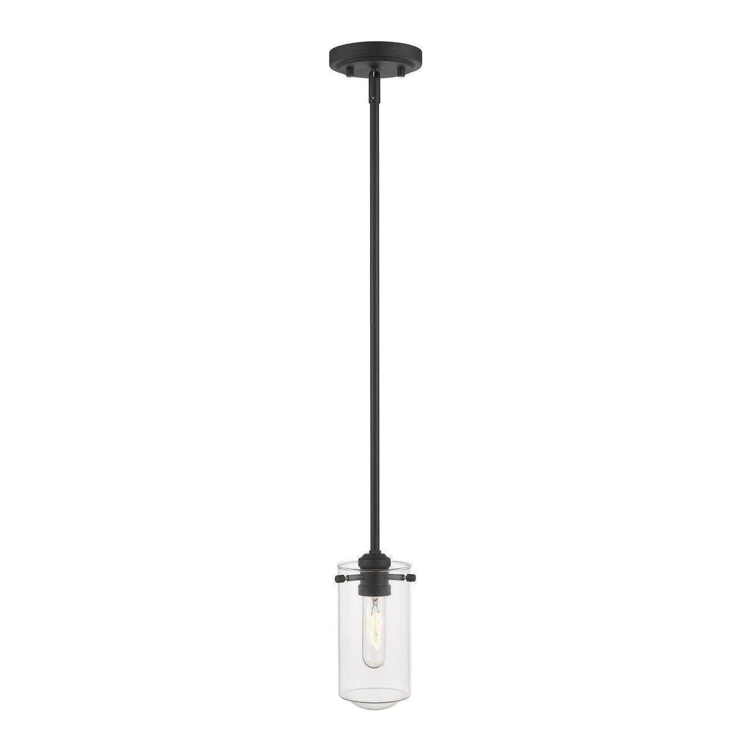 Z-Lite - Delaney Mini Pendant - Lights Canada
