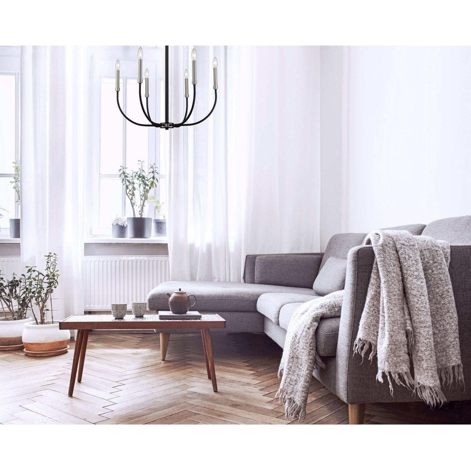 Z-Lite - Haylie Chandelier - Lights Canada