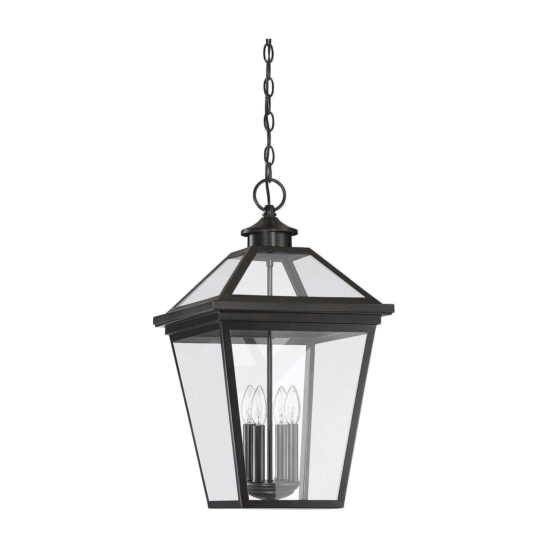 Savoy House - Ellijay Outdoor Pendant - Lights Canada