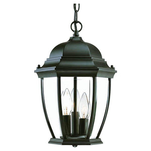 Acclaim - Wexford Outdoor Pendant - Lights Canada