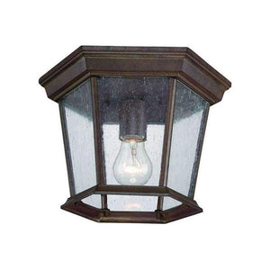 Acclaim - Dover Outdoor Ceiling Light - Lights Canada