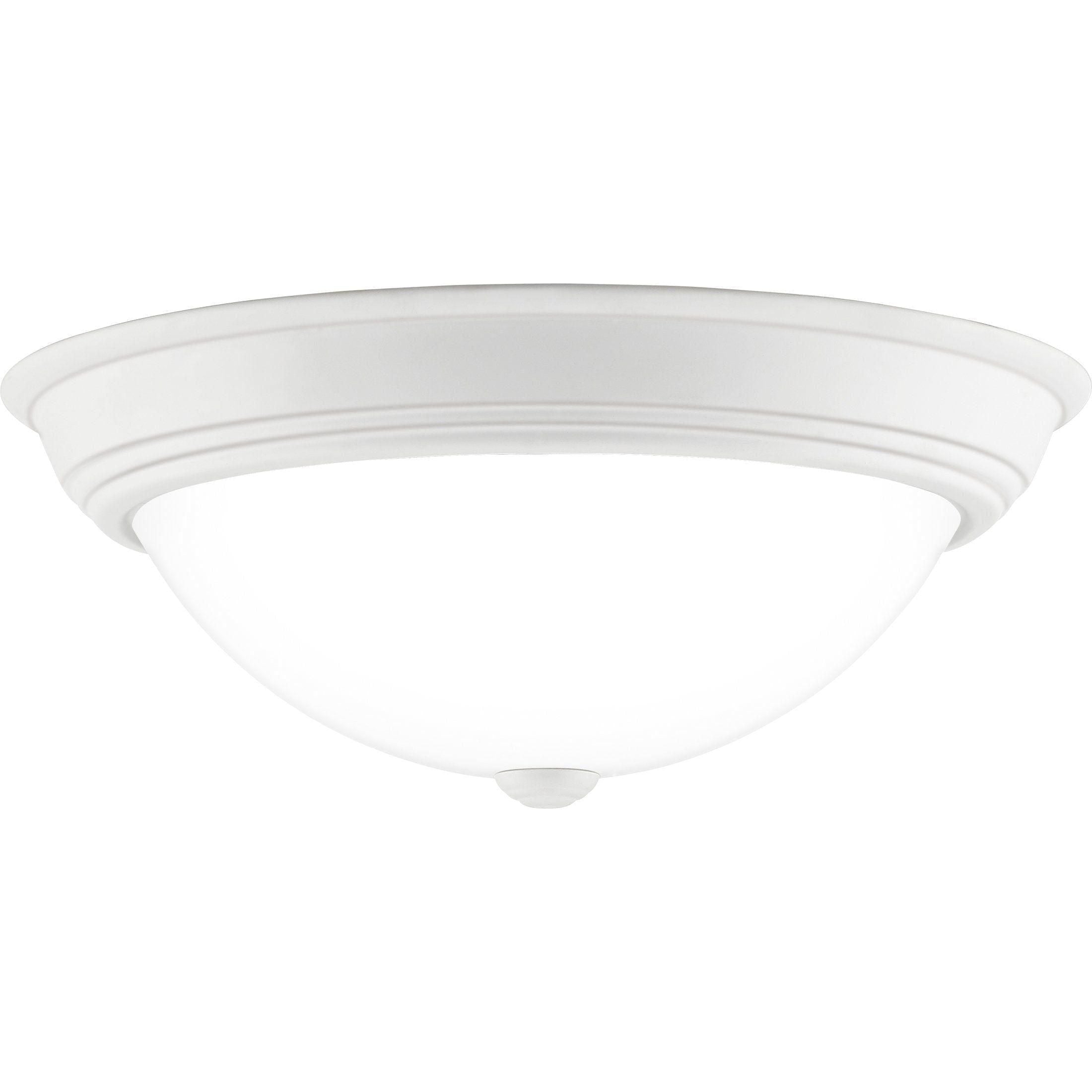Quoizel - Erwin Flush Mount - Lights Canada
