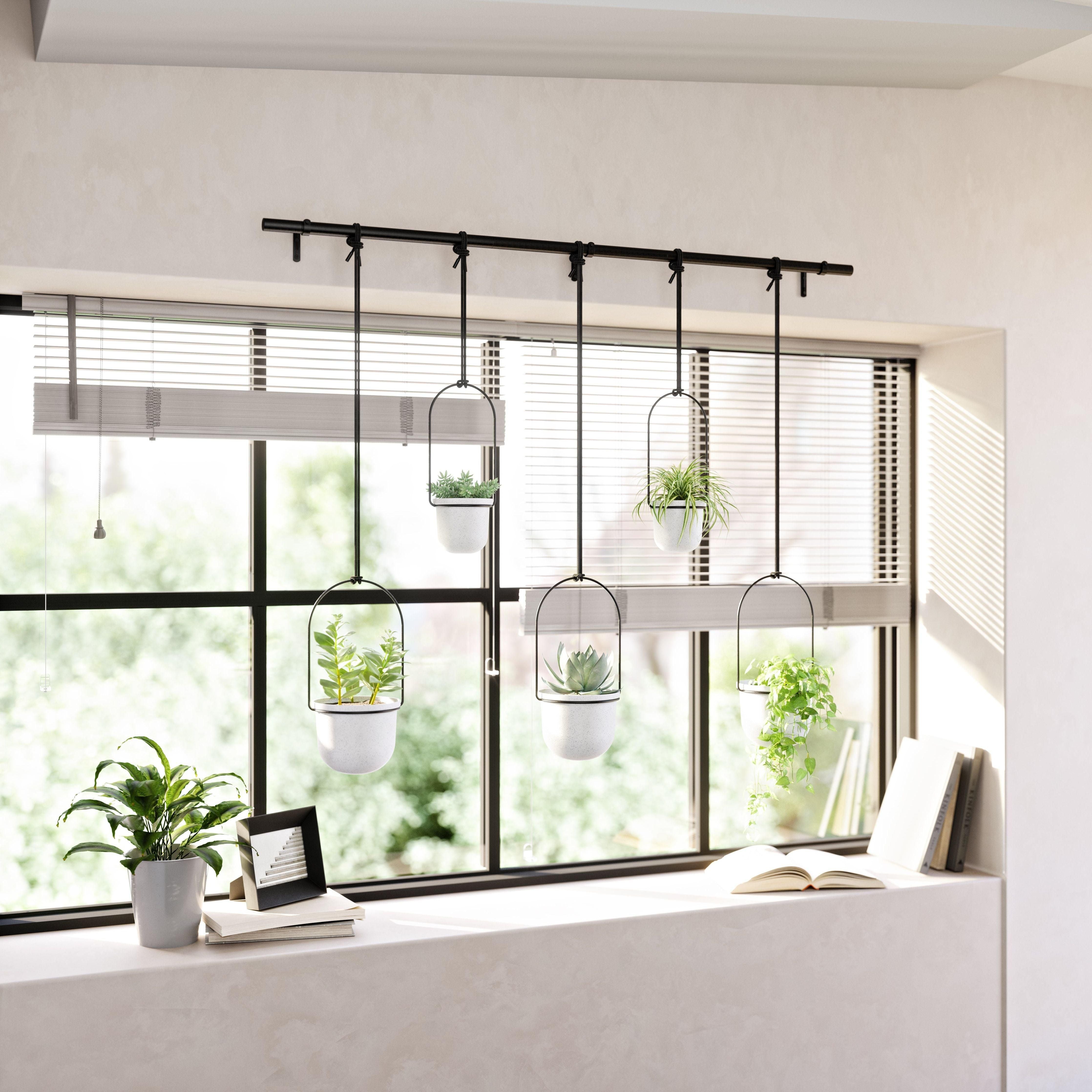 Umbra - Triflora Hanging Planter (Set of 5) - Lights Canada