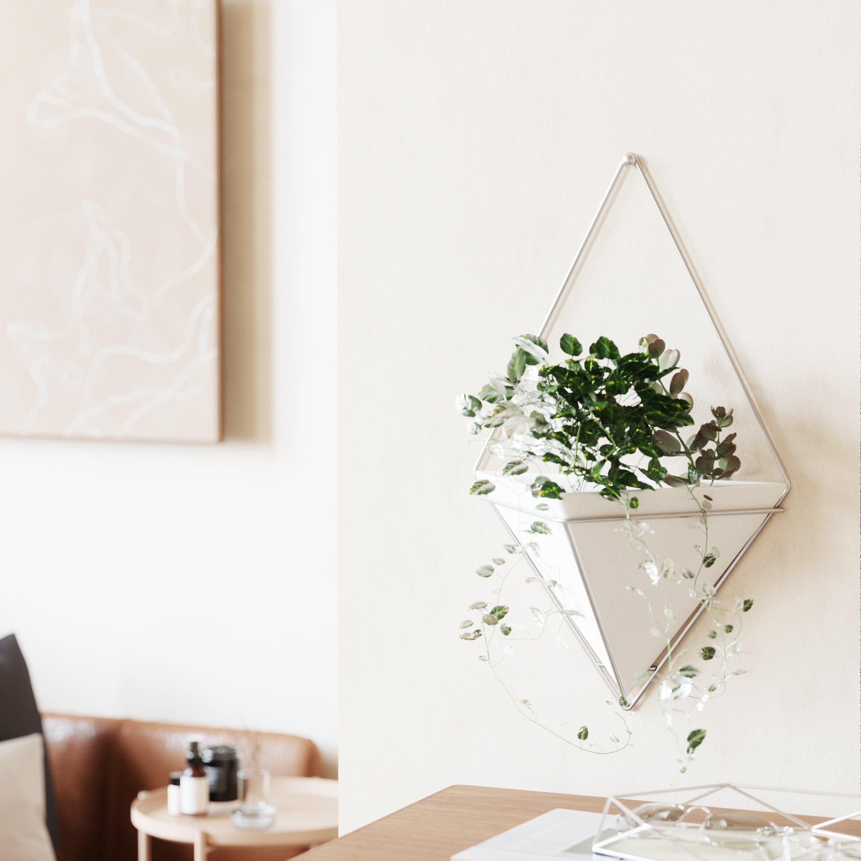 Umbra - Trigg Wall Display - Lights Canada