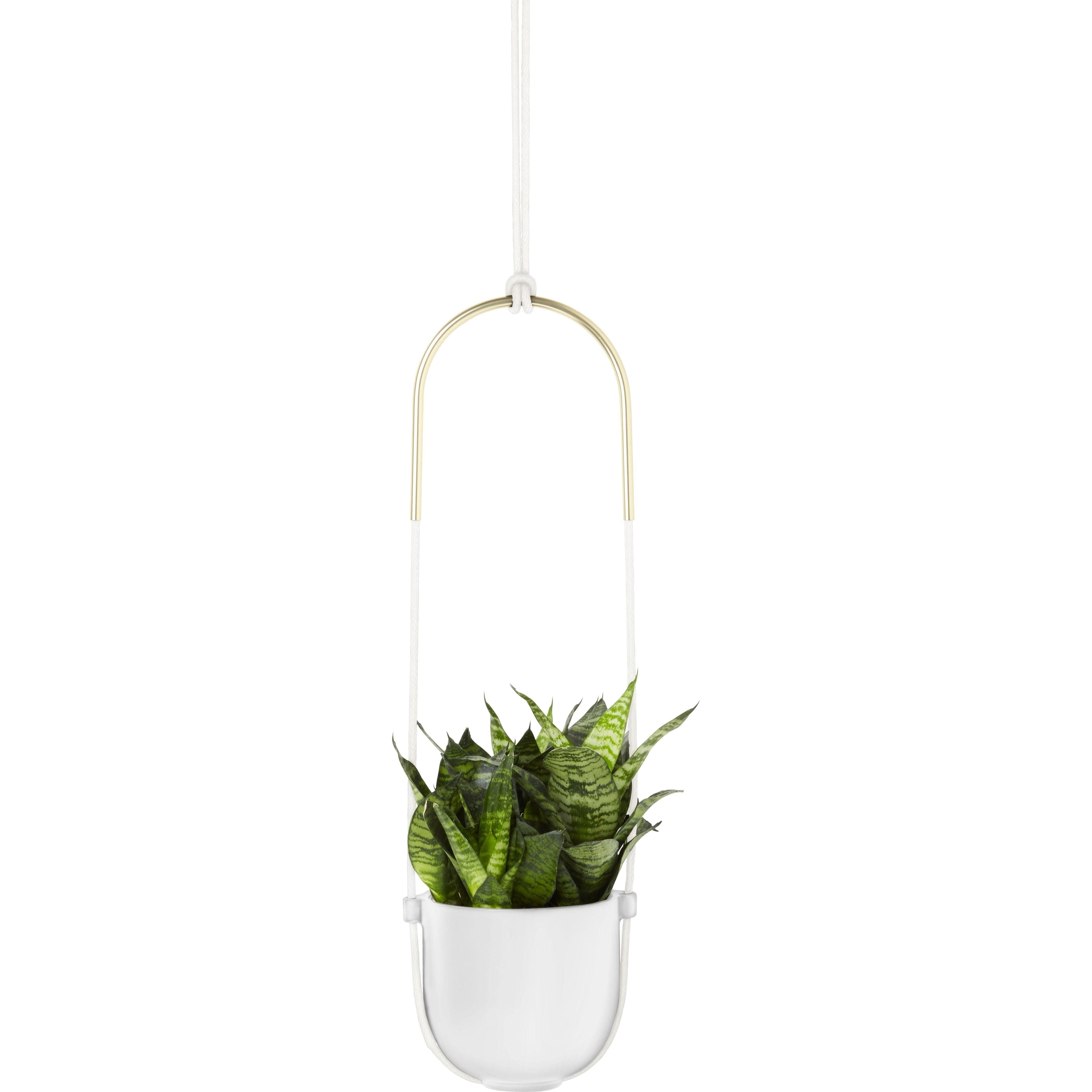 Umbra - Bolo Hanging Planter - Lights Canada