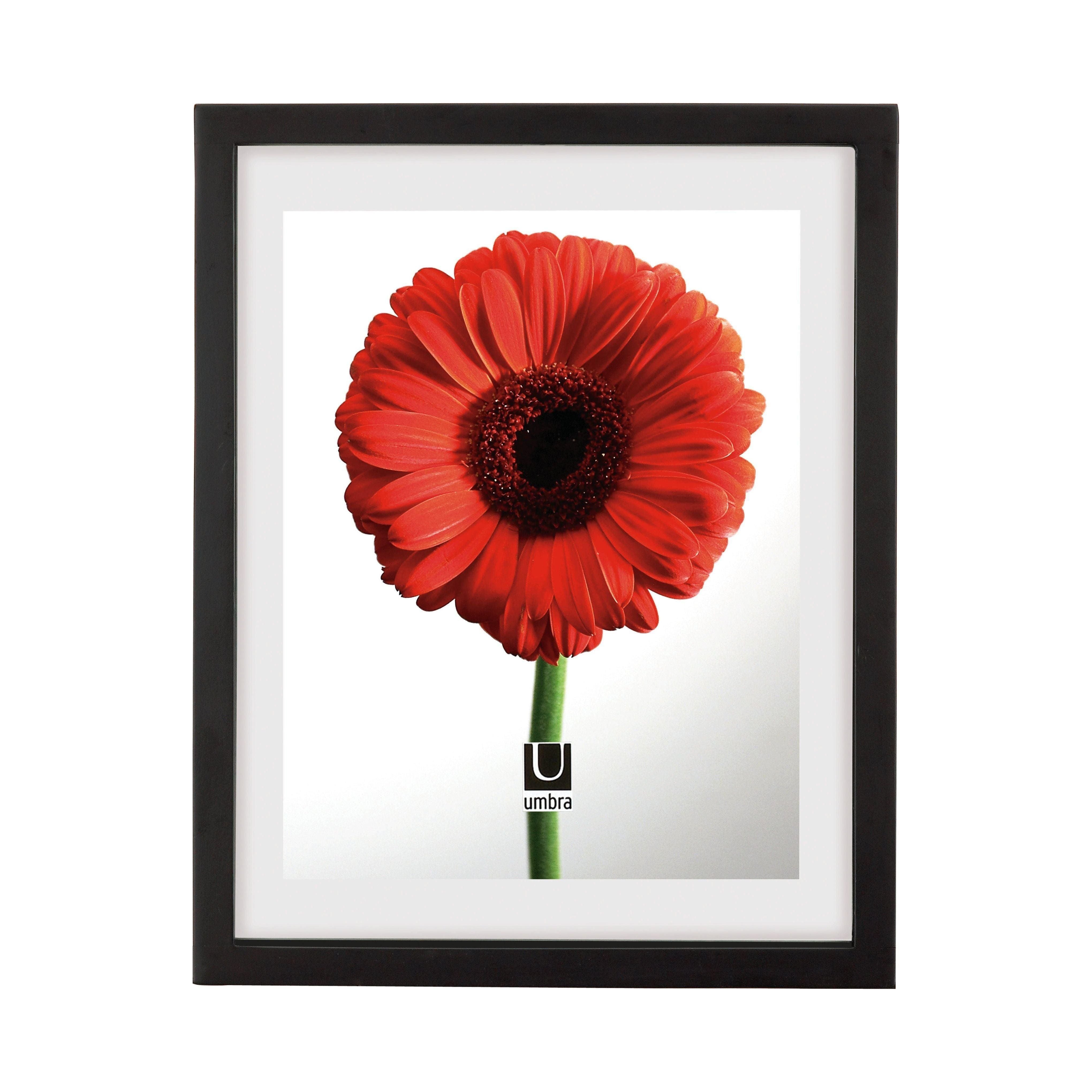 Umbra - Document Picture Frame - Lights Canada