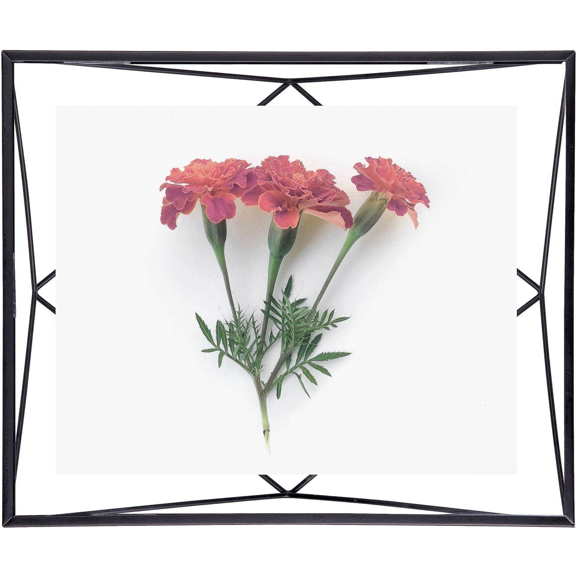 Umbra - Prisma Picture Frame - Lights Canada