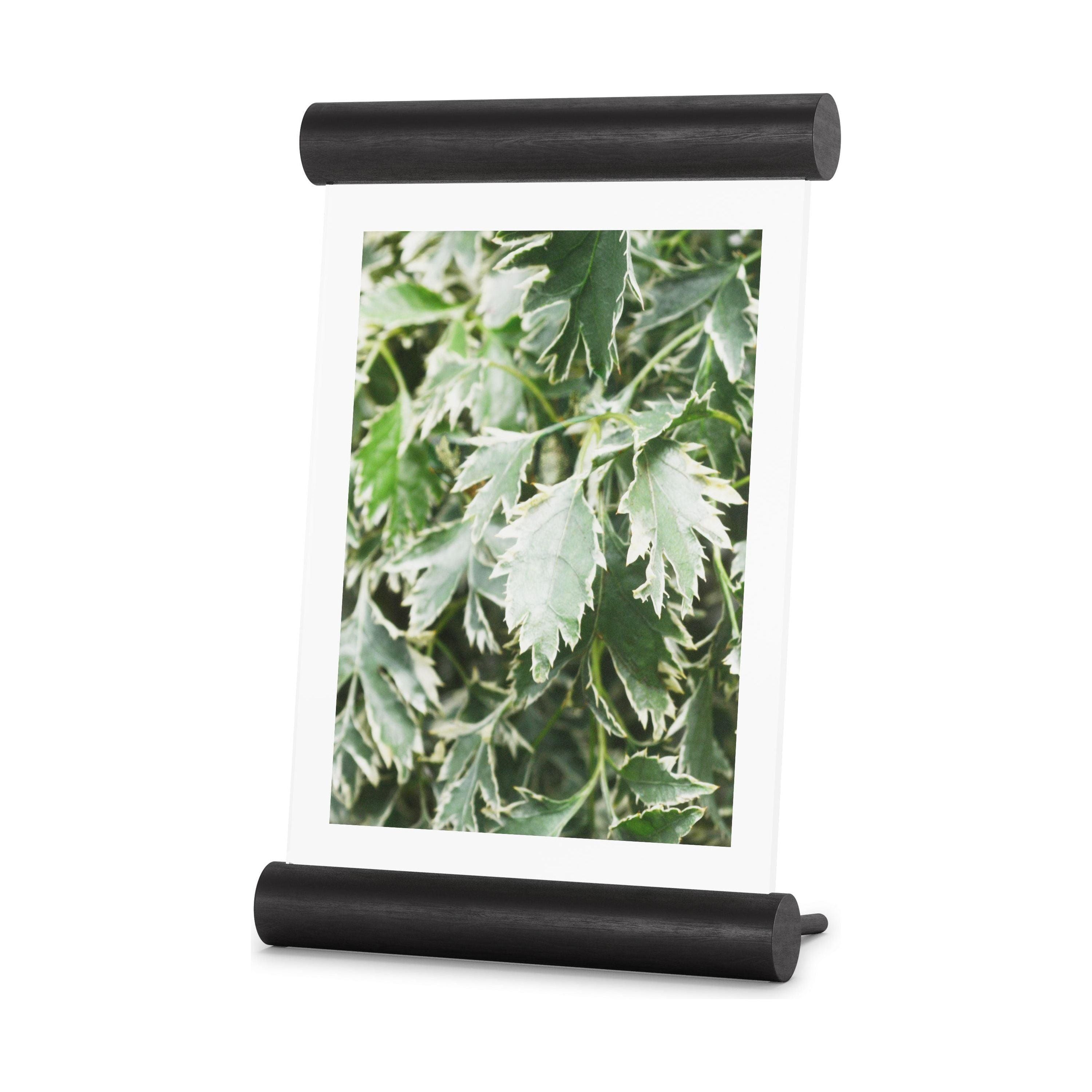 Umbra - Scroll Picture Frame - Lights Canada