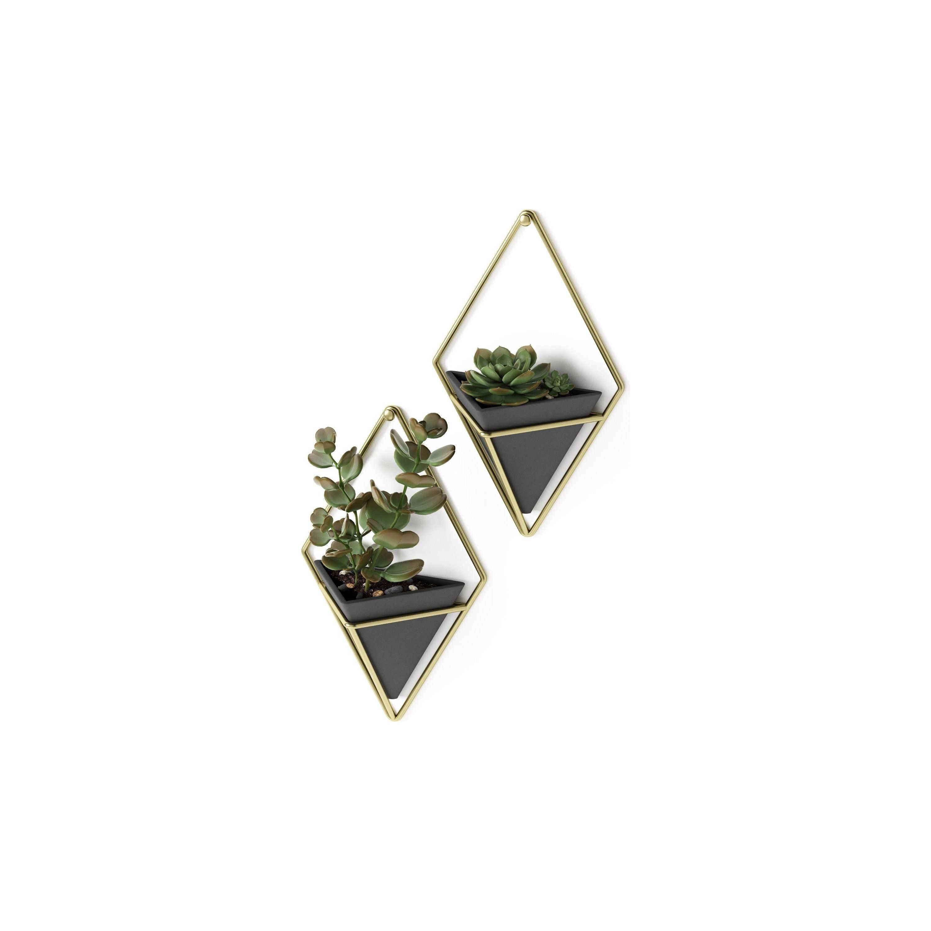 Umbra - Trigg Wall Display (Set of 2) - Lights Canada