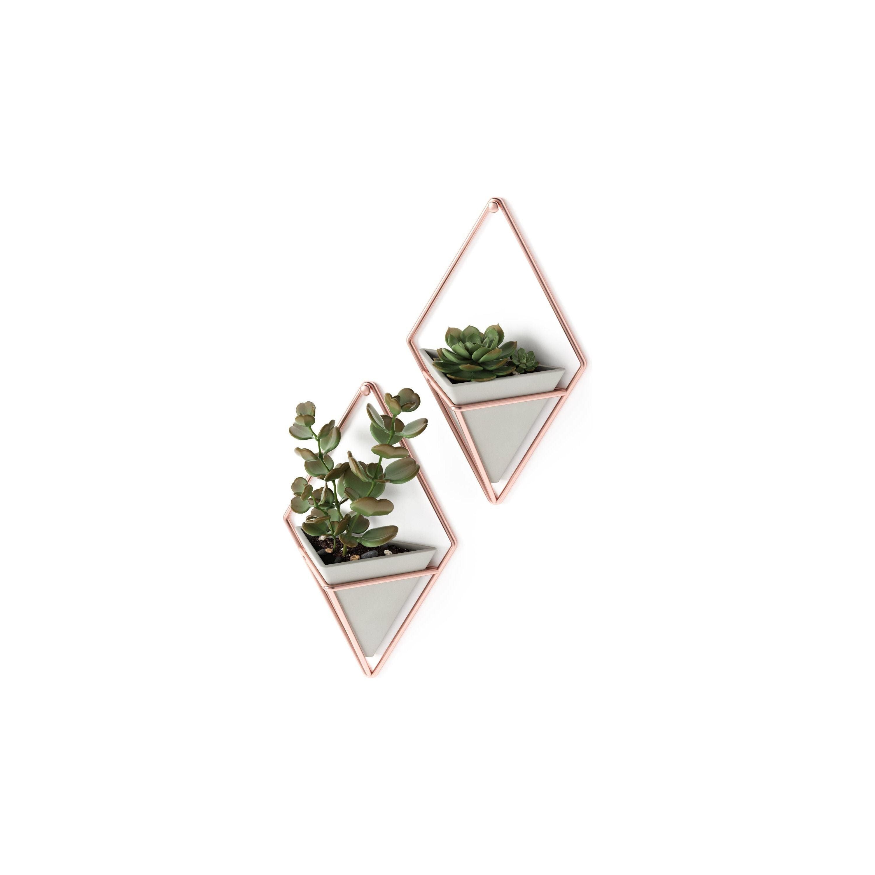 Umbra - Trigg Wall Display (Set of 2) - Lights Canada