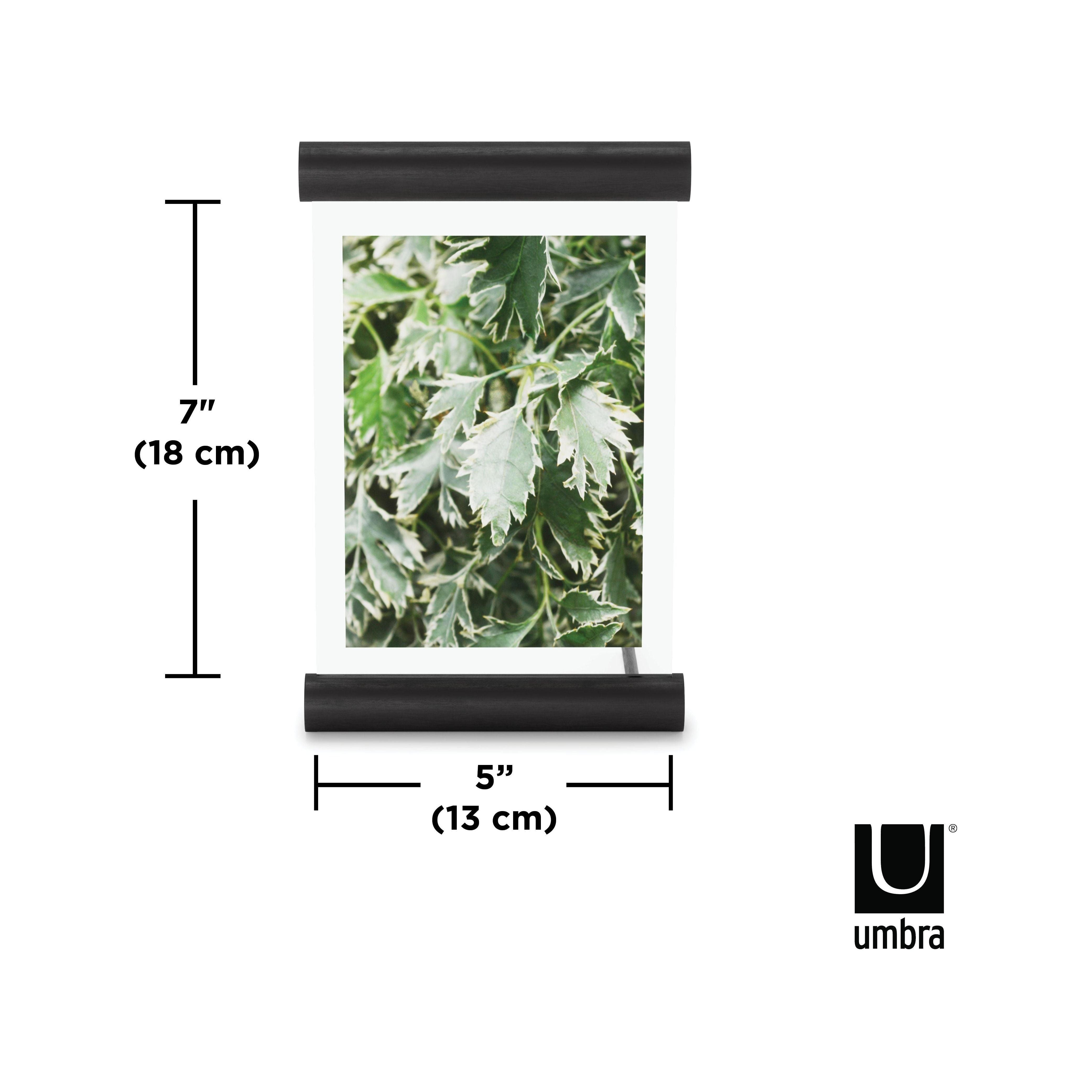 Umbra - Scroll Picture Frame - Lights Canada