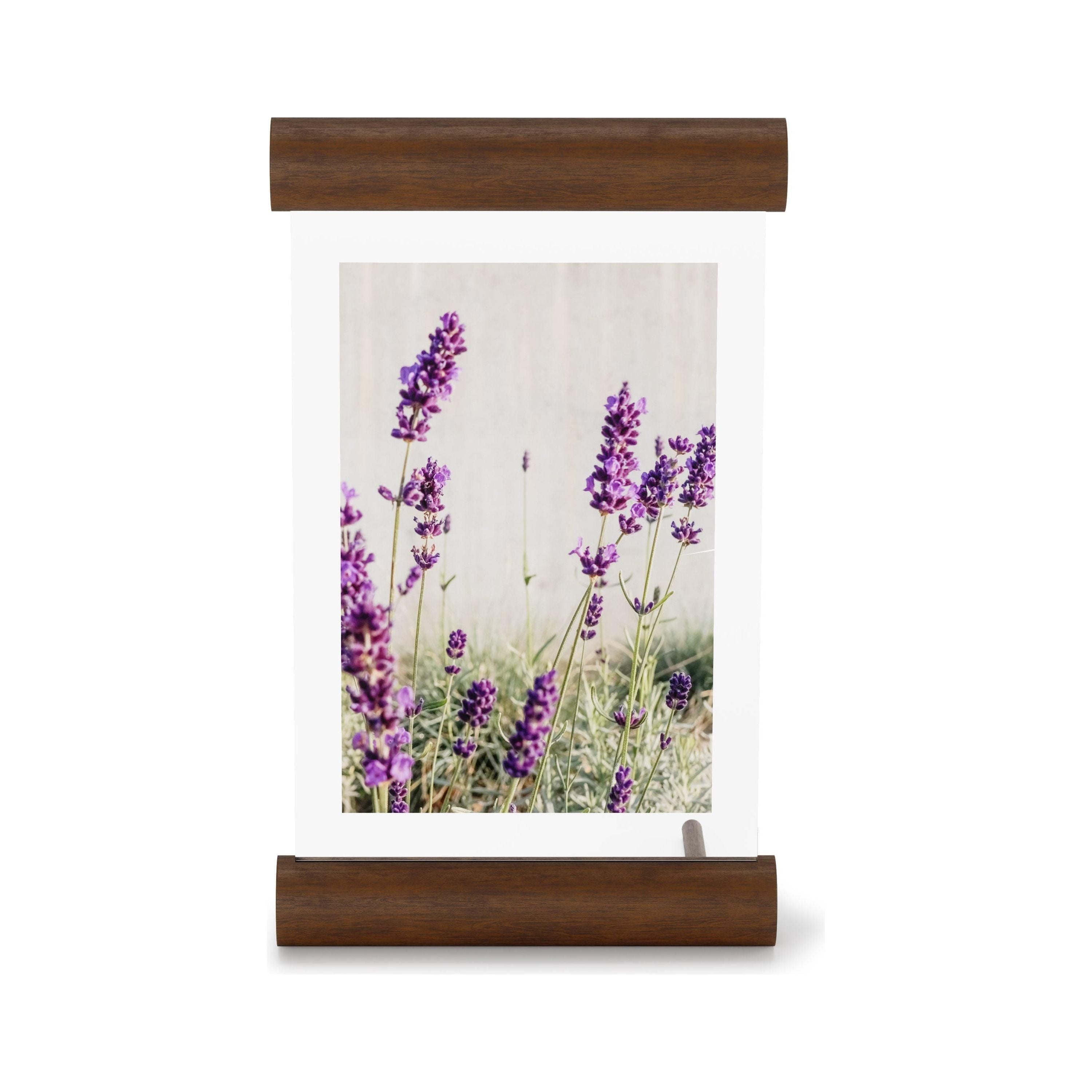 Umbra - Scroll Picture Frame - Lights Canada
