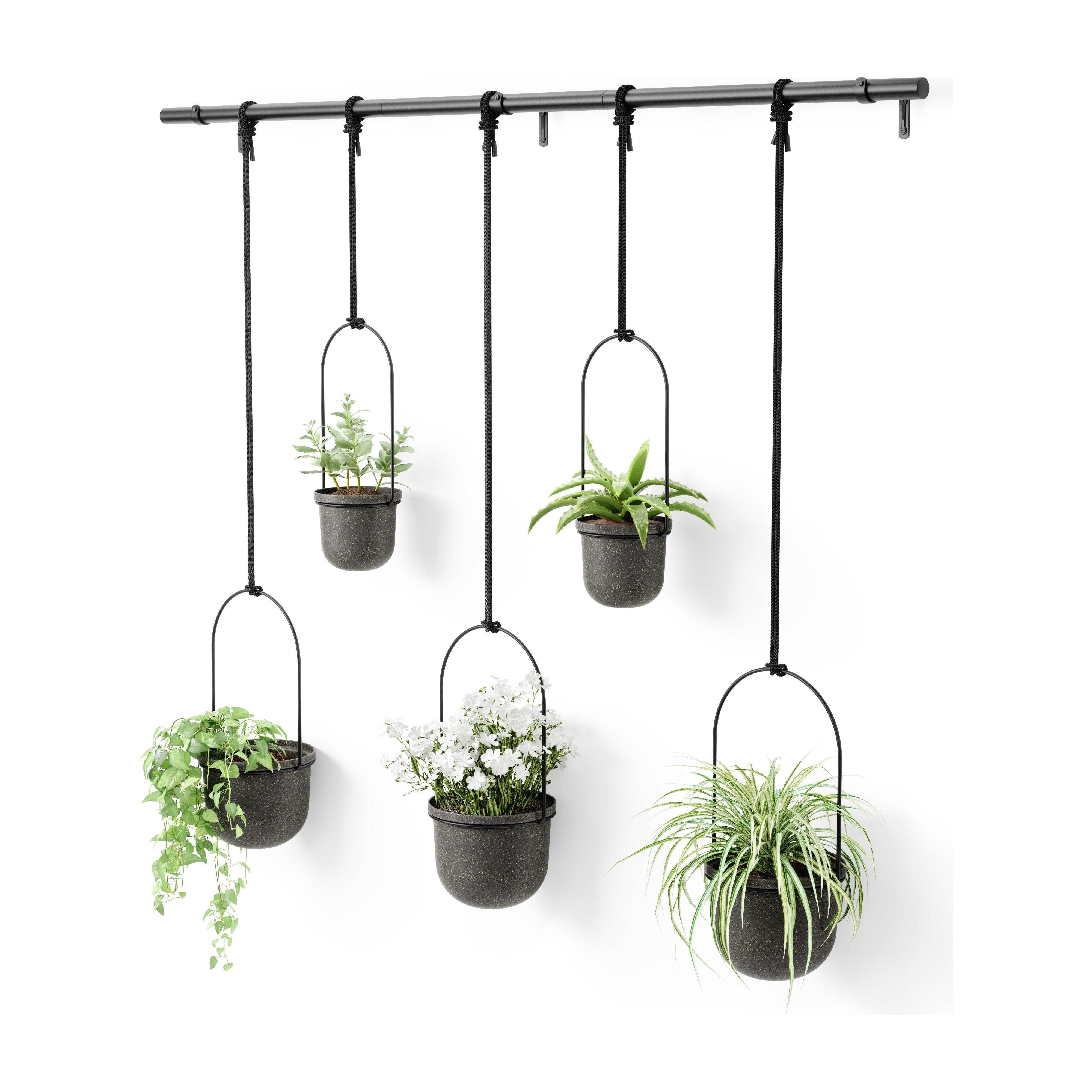 Umbra - Triflora Hanging Planter (Set of 5) - Lights Canada