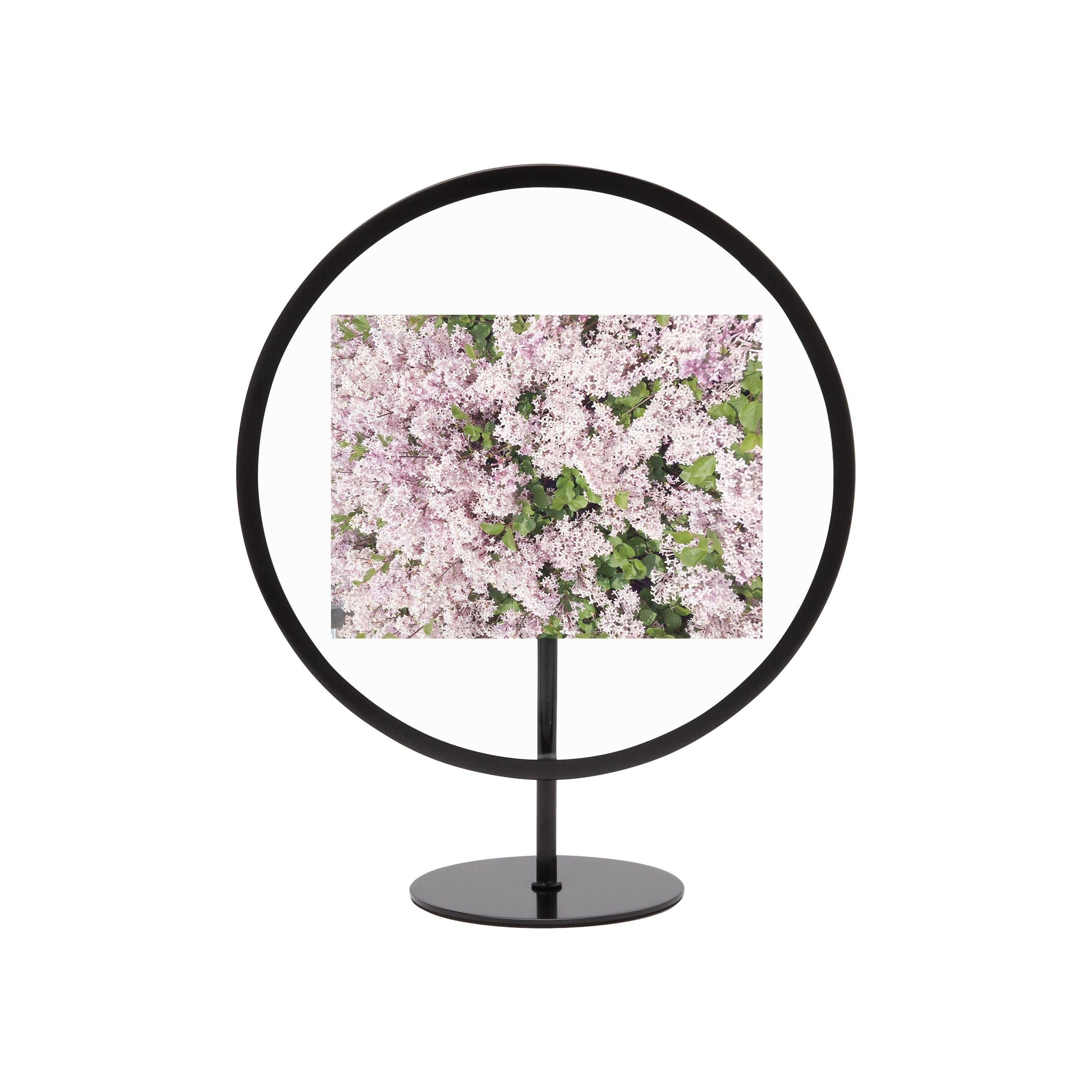 Umbra - Infinity Round Picture Frame - Lights Canada