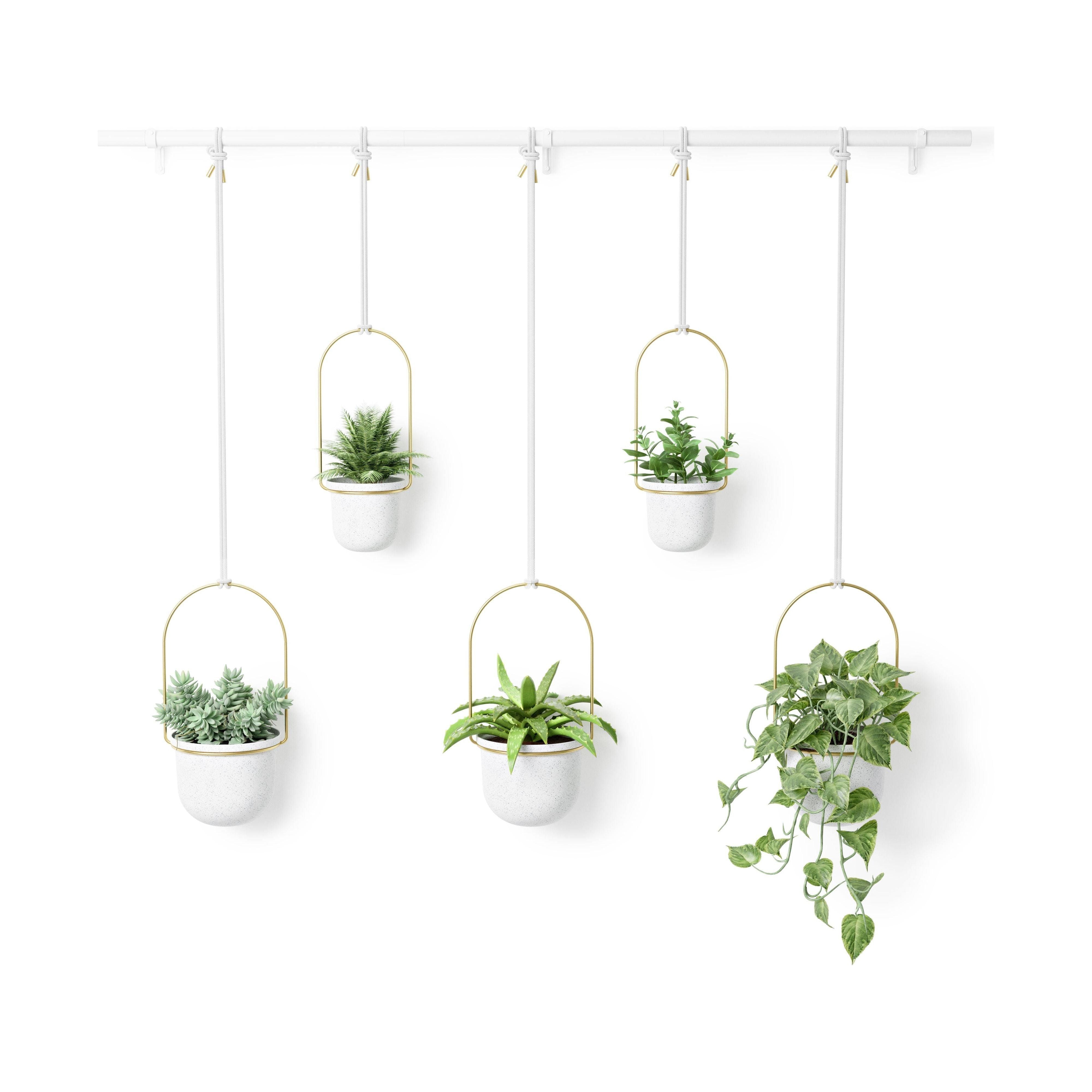 Umbra - Triflora Hanging Planter (Set of 5) - Lights Canada