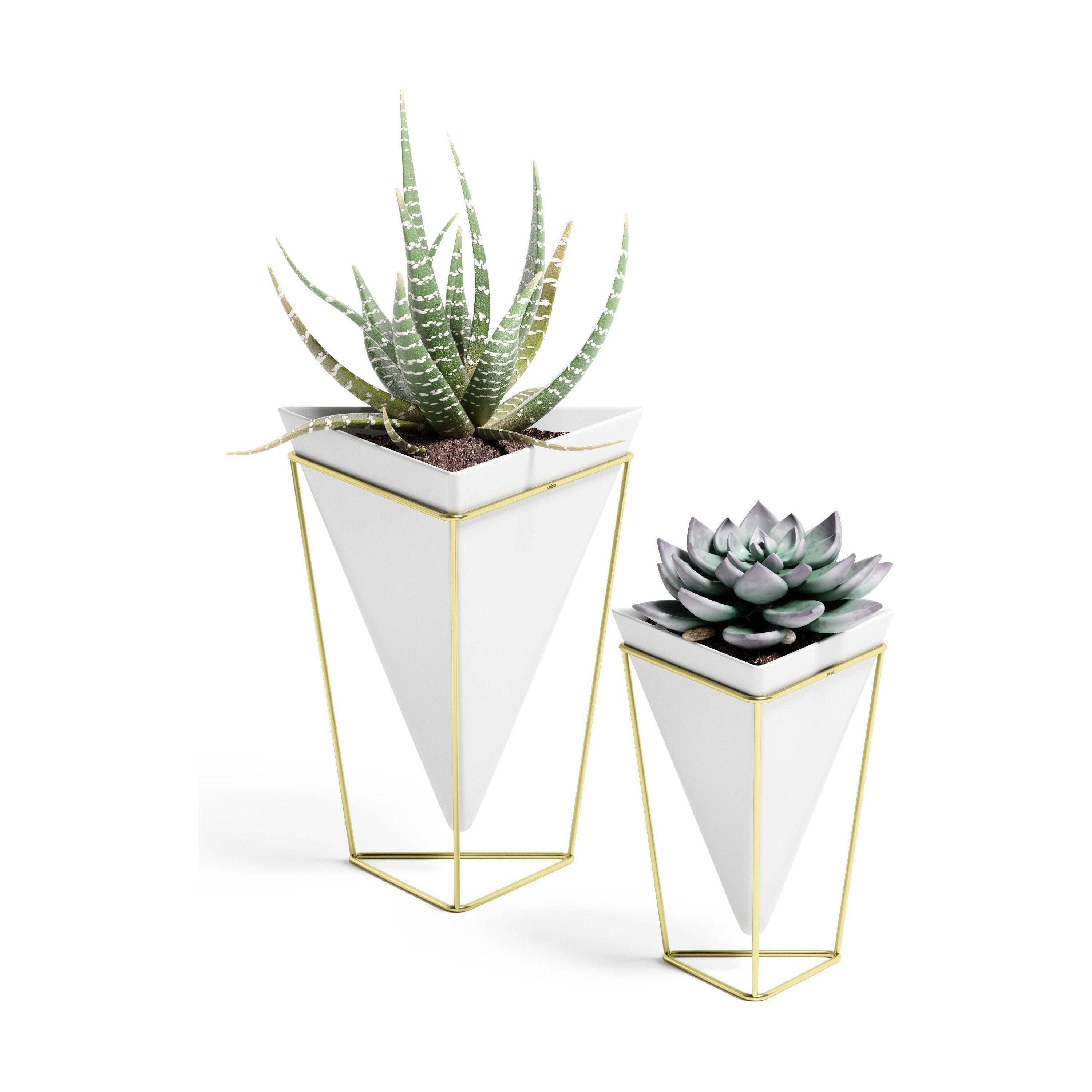 Umbra - Trigg Tabletop Vessels (Set of 2) - Lights Canada
