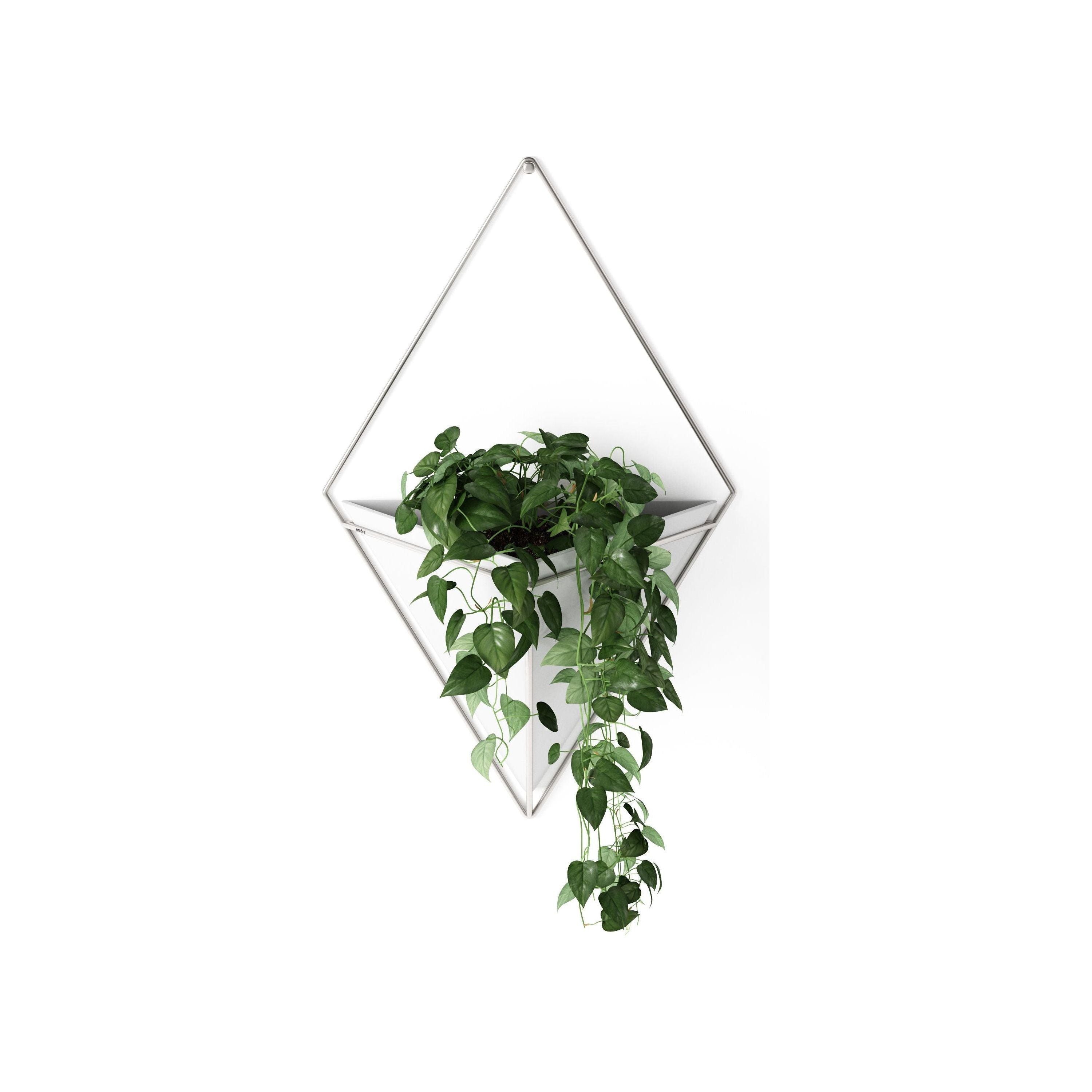 Umbra - Trigg Wall Display - Lights Canada