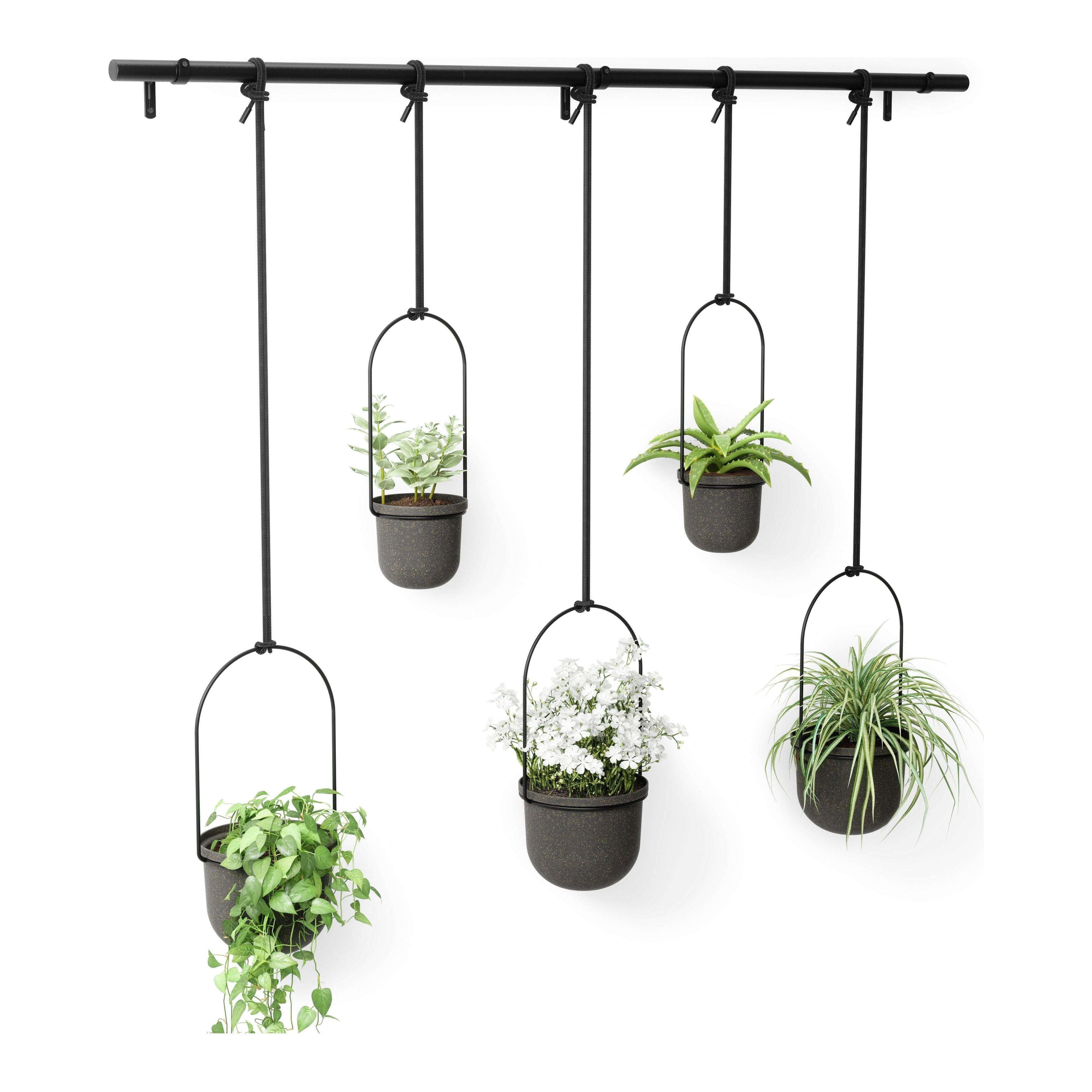 Umbra - Triflora Hanging Planter (Set of 5) - Lights Canada