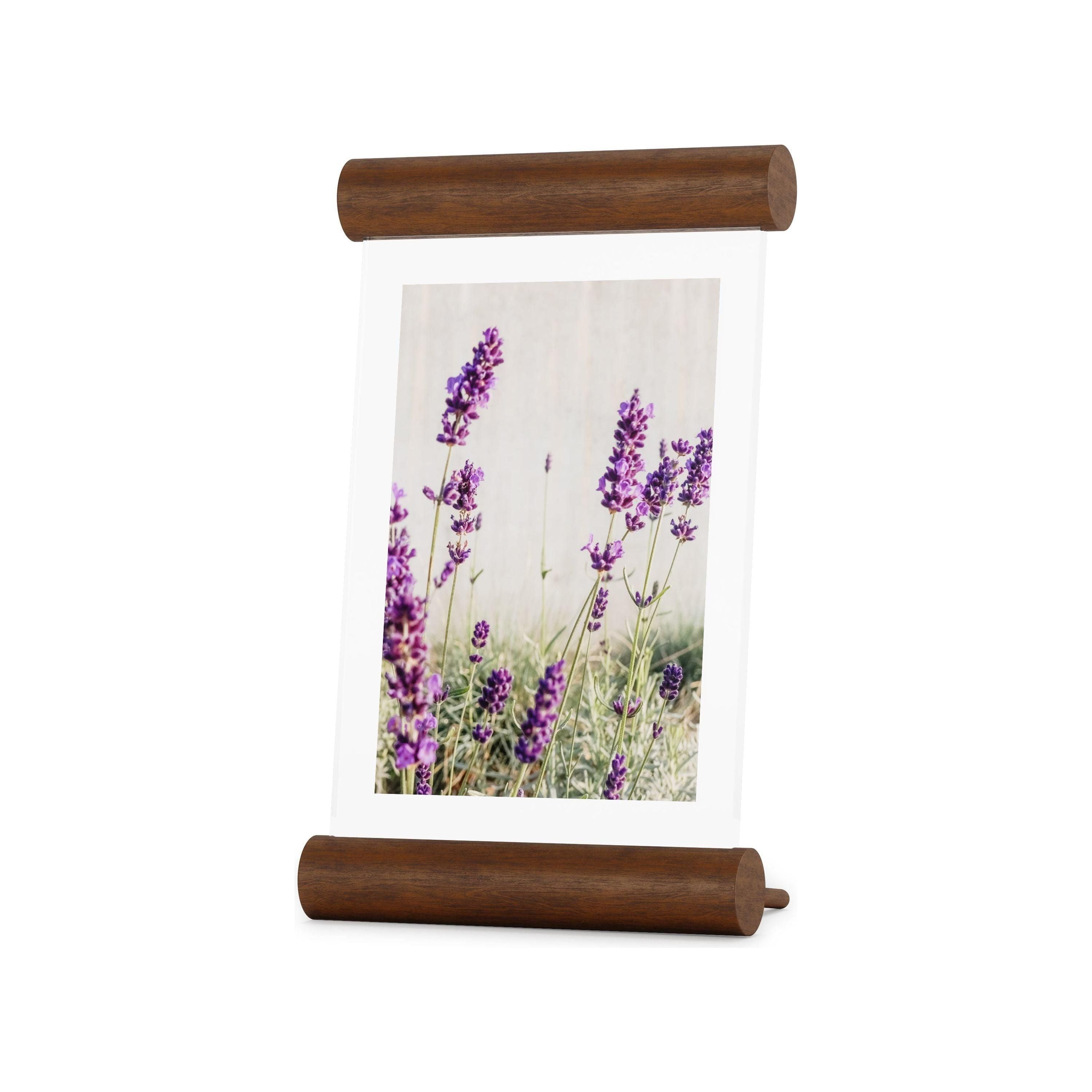 Umbra - Scroll Picture Frame - Lights Canada