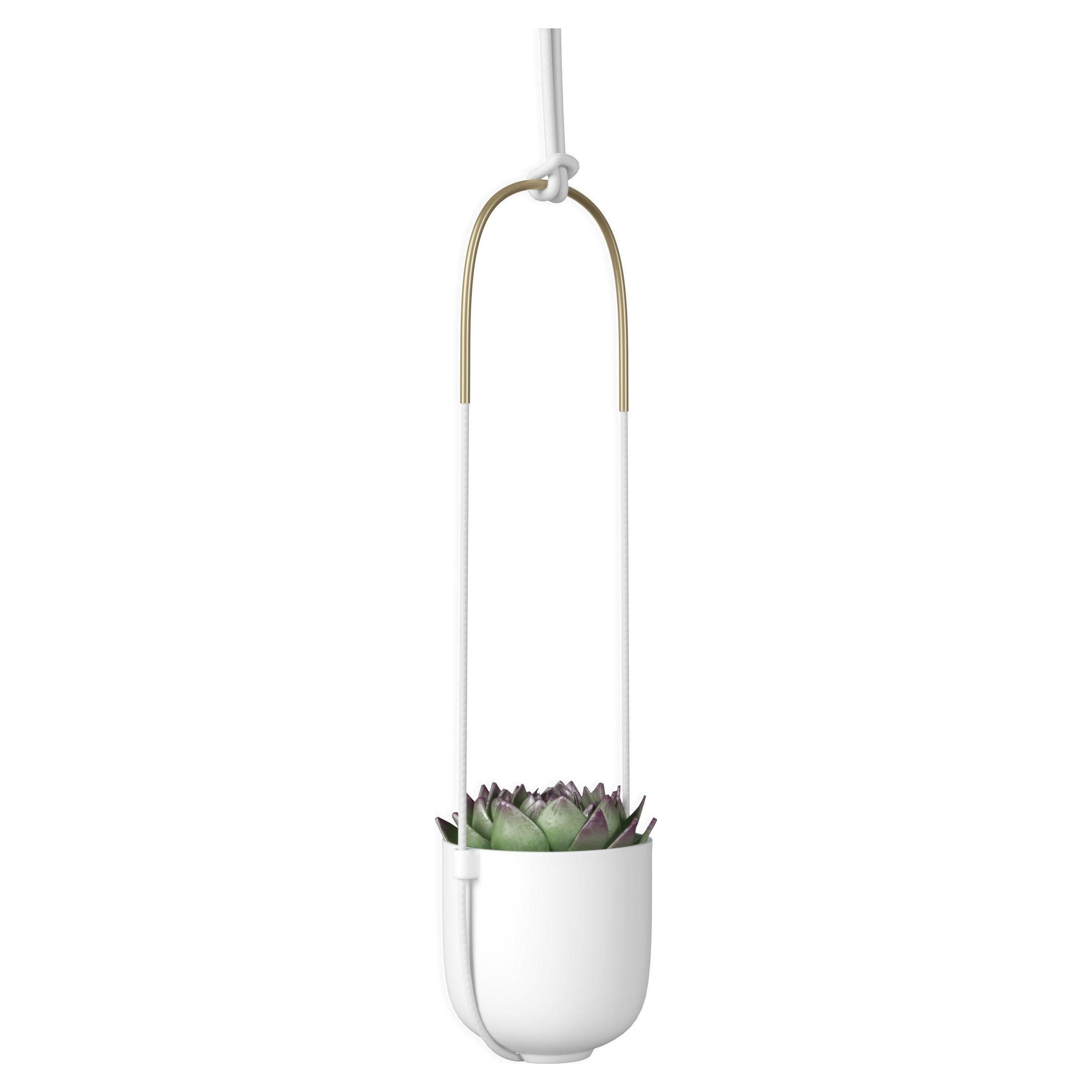 Umbra - Bolo Hanging Planter - Lights Canada