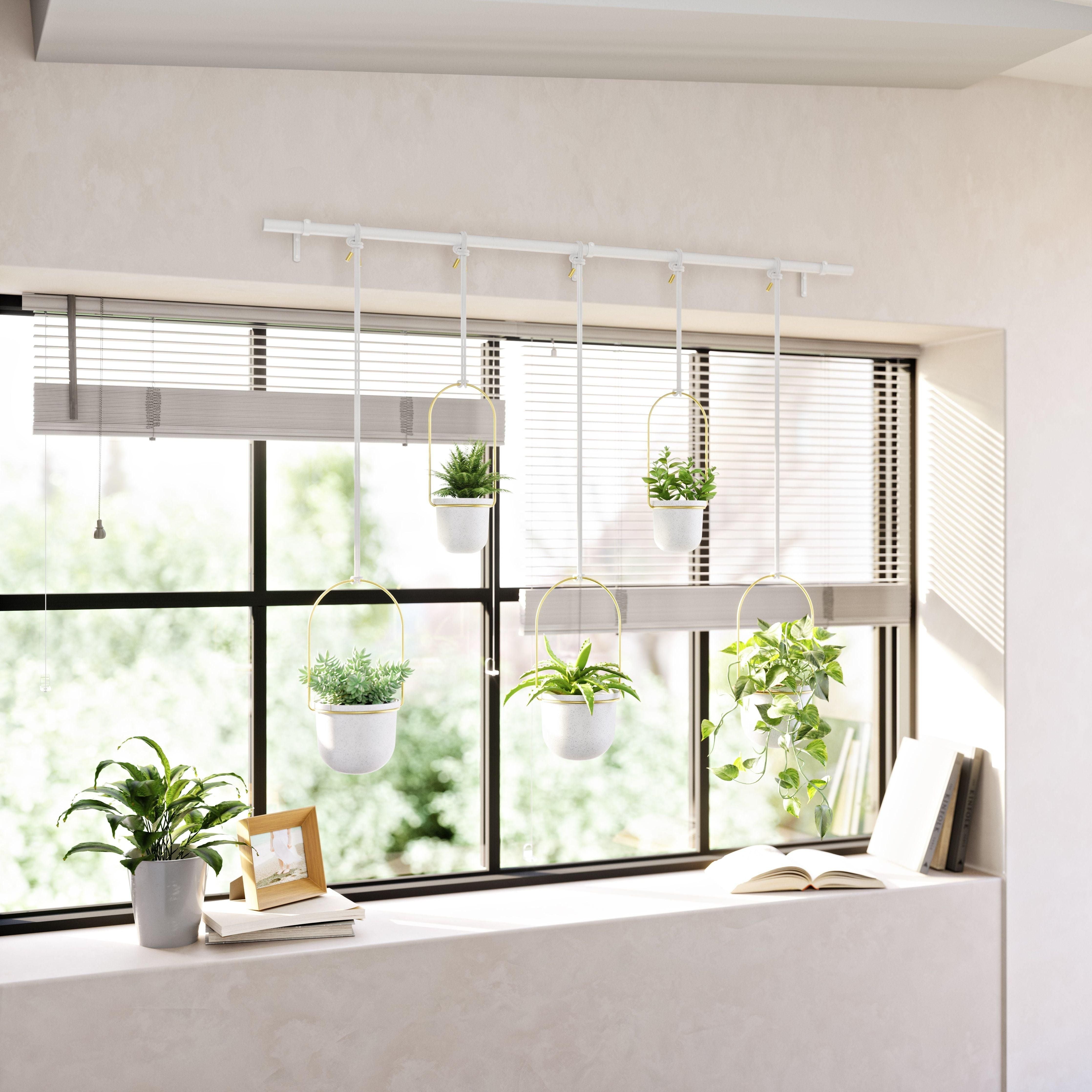 Umbra - Triflora Hanging Planter (Set of 5) - Lights Canada