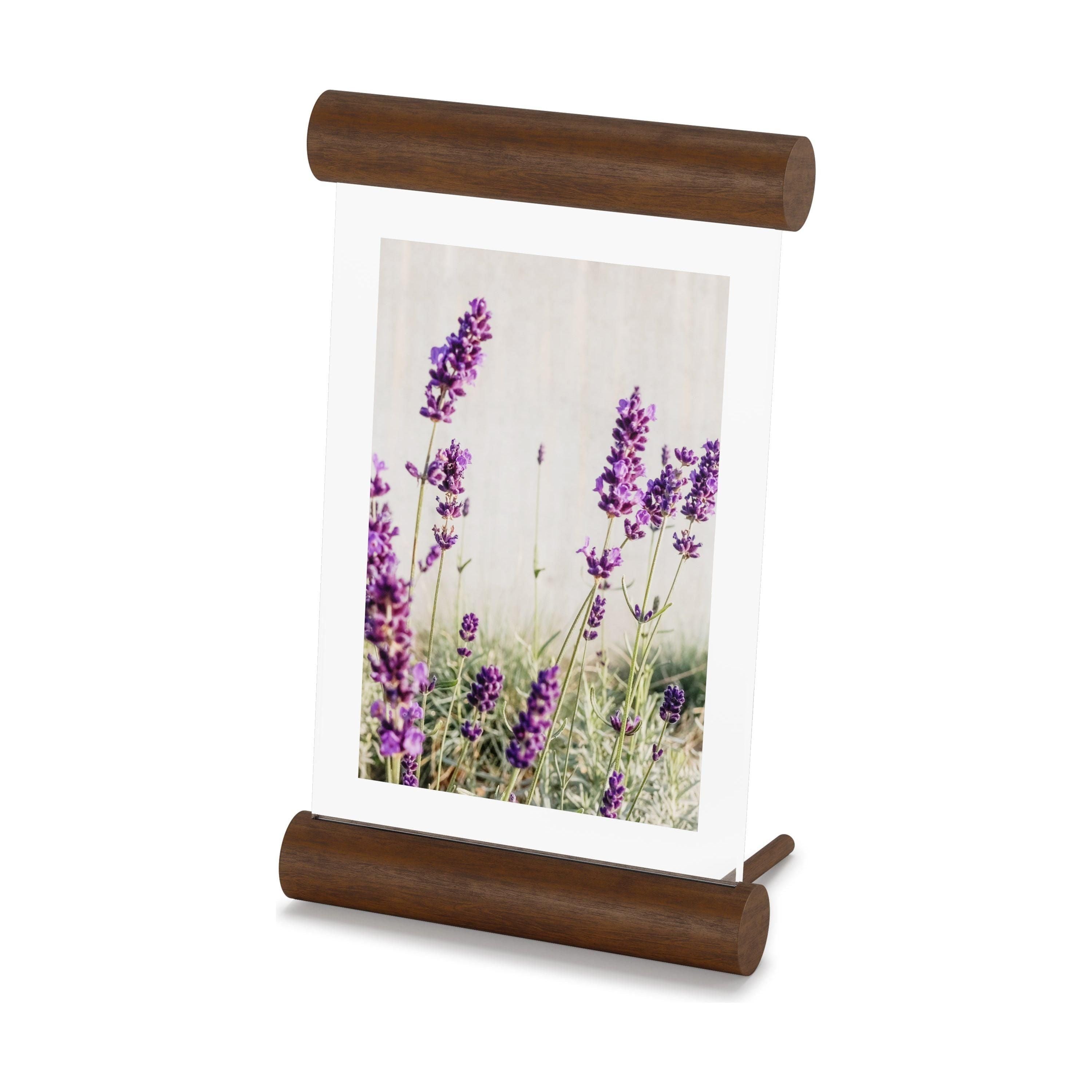 Umbra - Scroll Picture Frame - Lights Canada