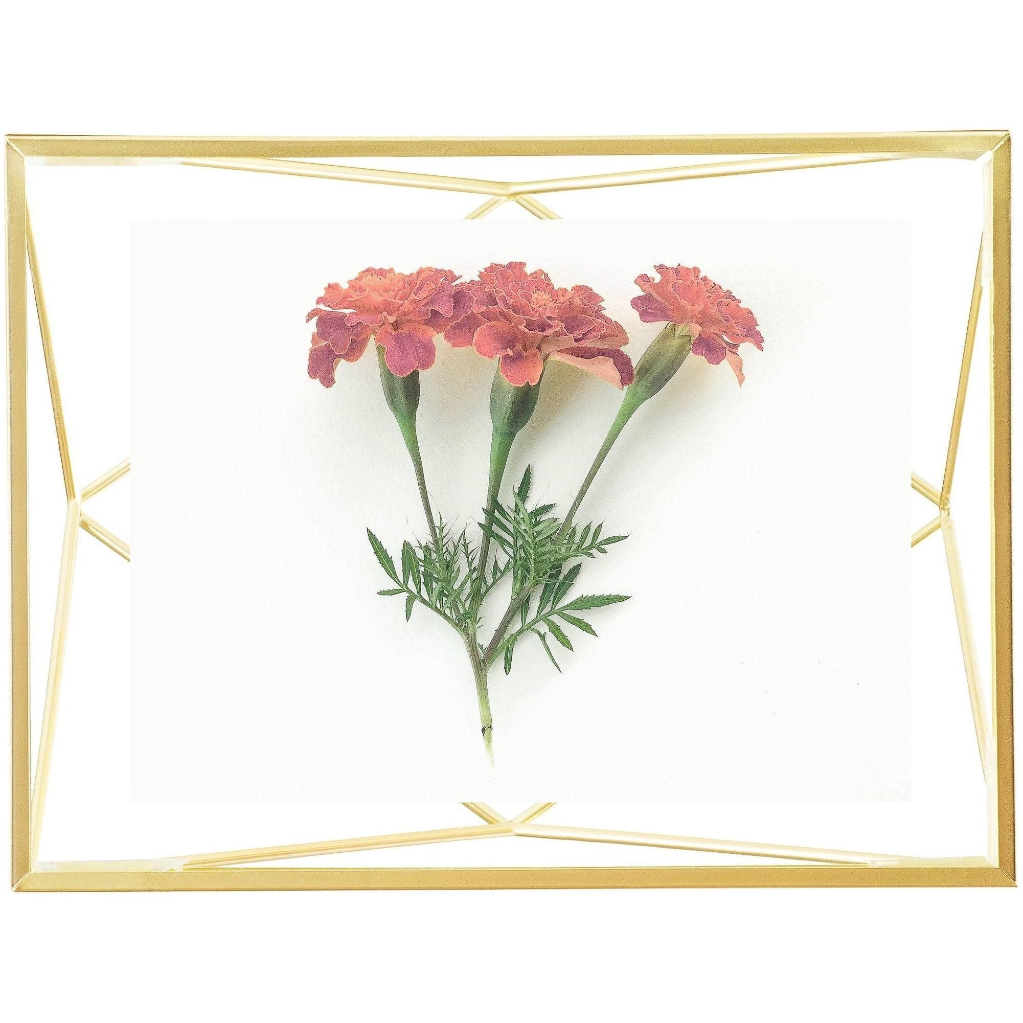 Umbra - Prisma Picture Frame - Lights Canada