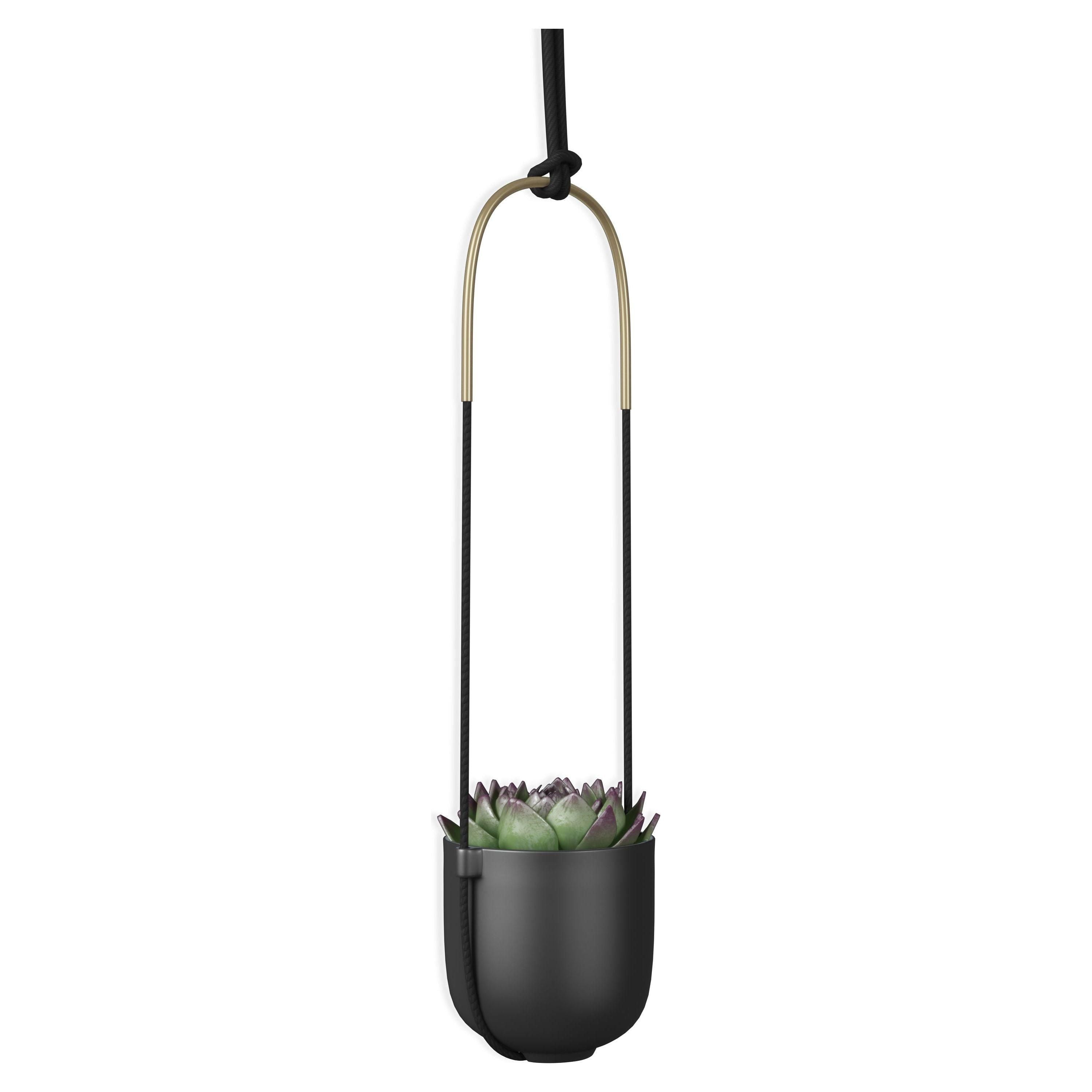 Umbra - Bolo Hanging Planter - Lights Canada