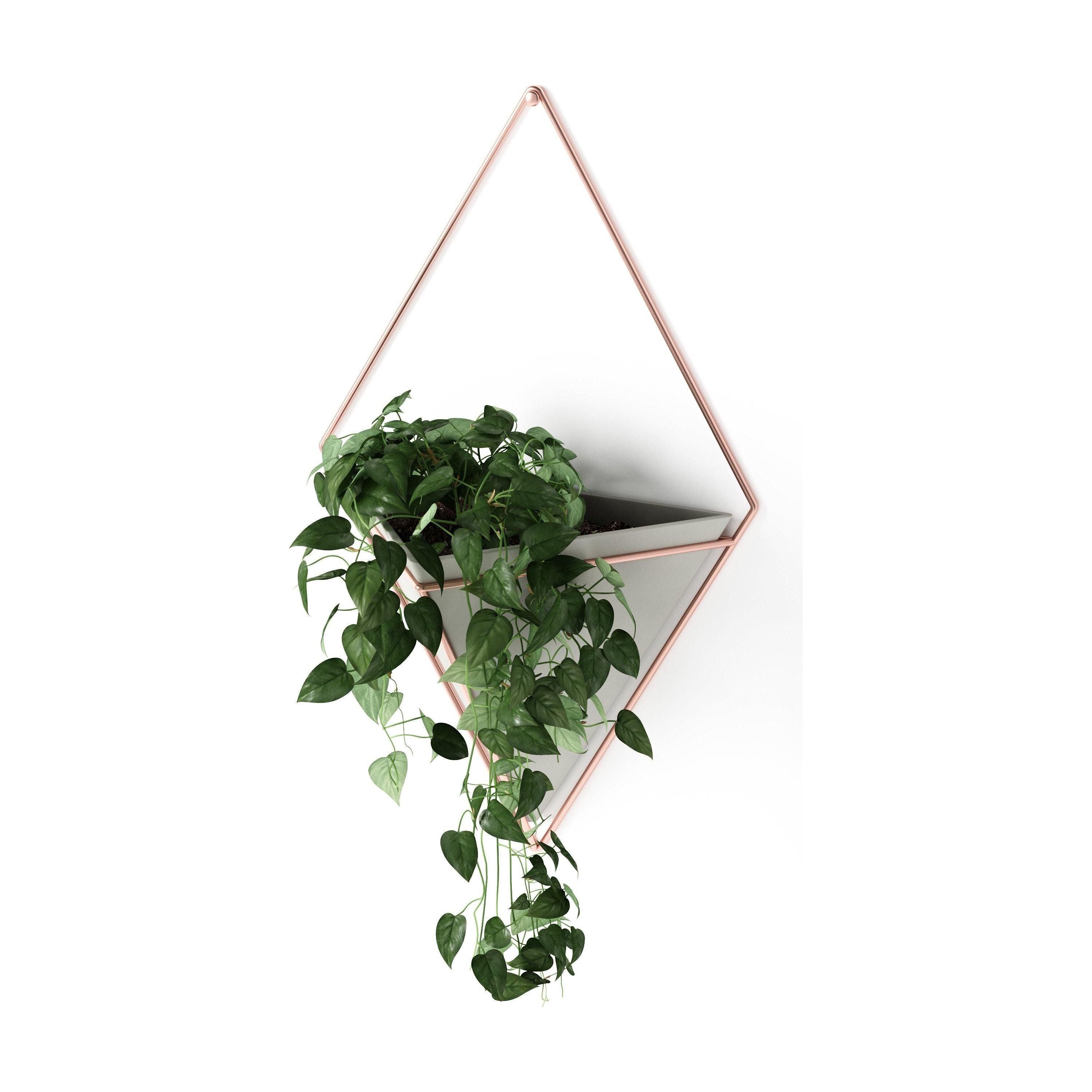 Umbra - Trigg Wall Display - Lights Canada